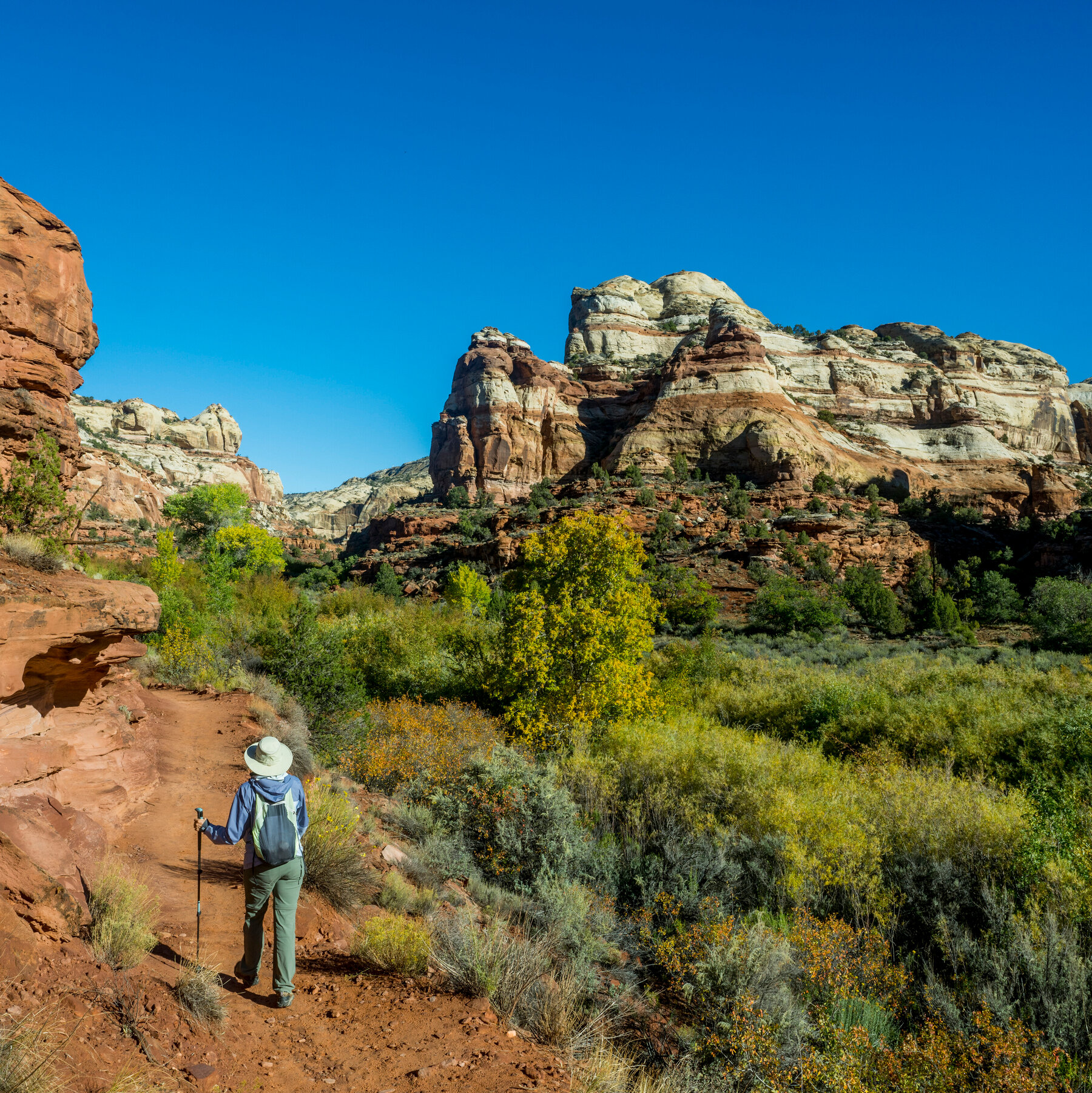 Trump Sharply Cuts the Size of Two National Monuments in Utah
