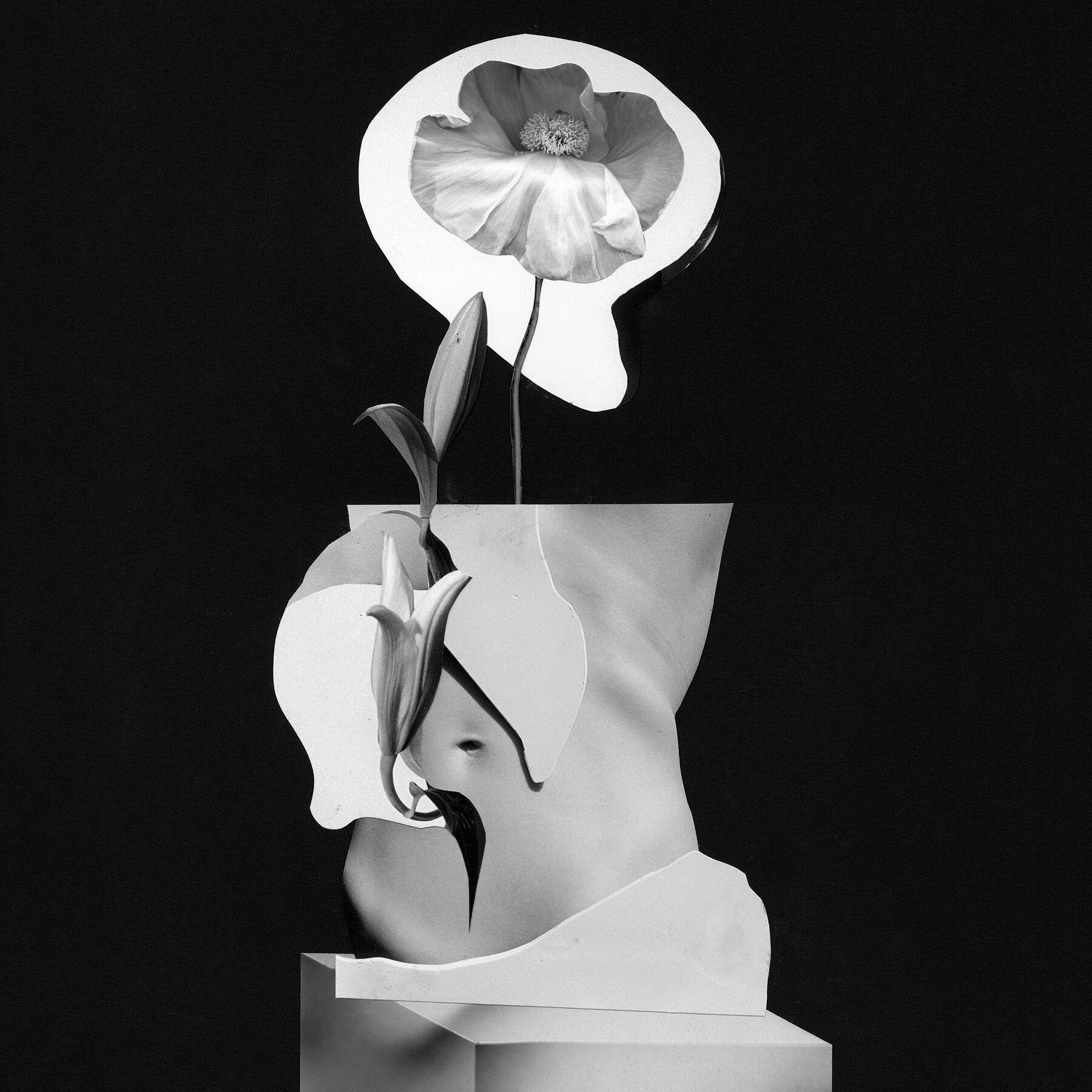 Women Have Earned Our Menopause Revolution