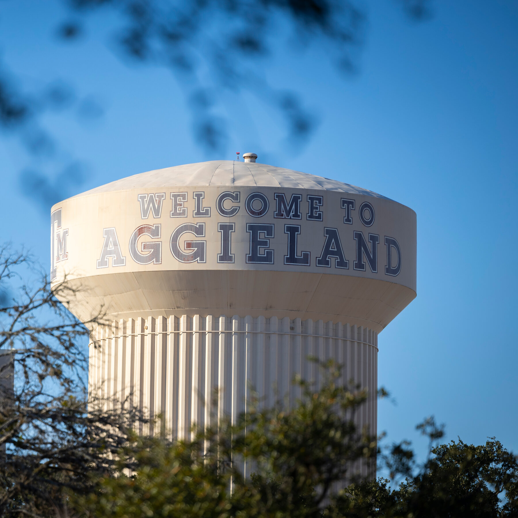 Texas A&M Picks an Insider for President After Months of Conflict