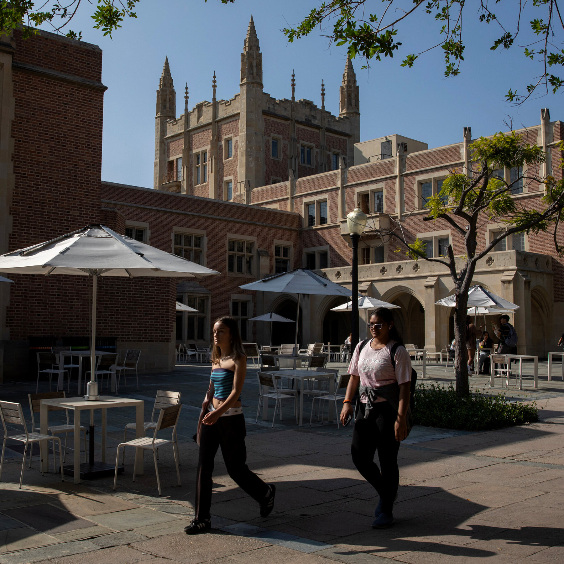 Judge Orders Trump Not to Threaten University of California’s Funding