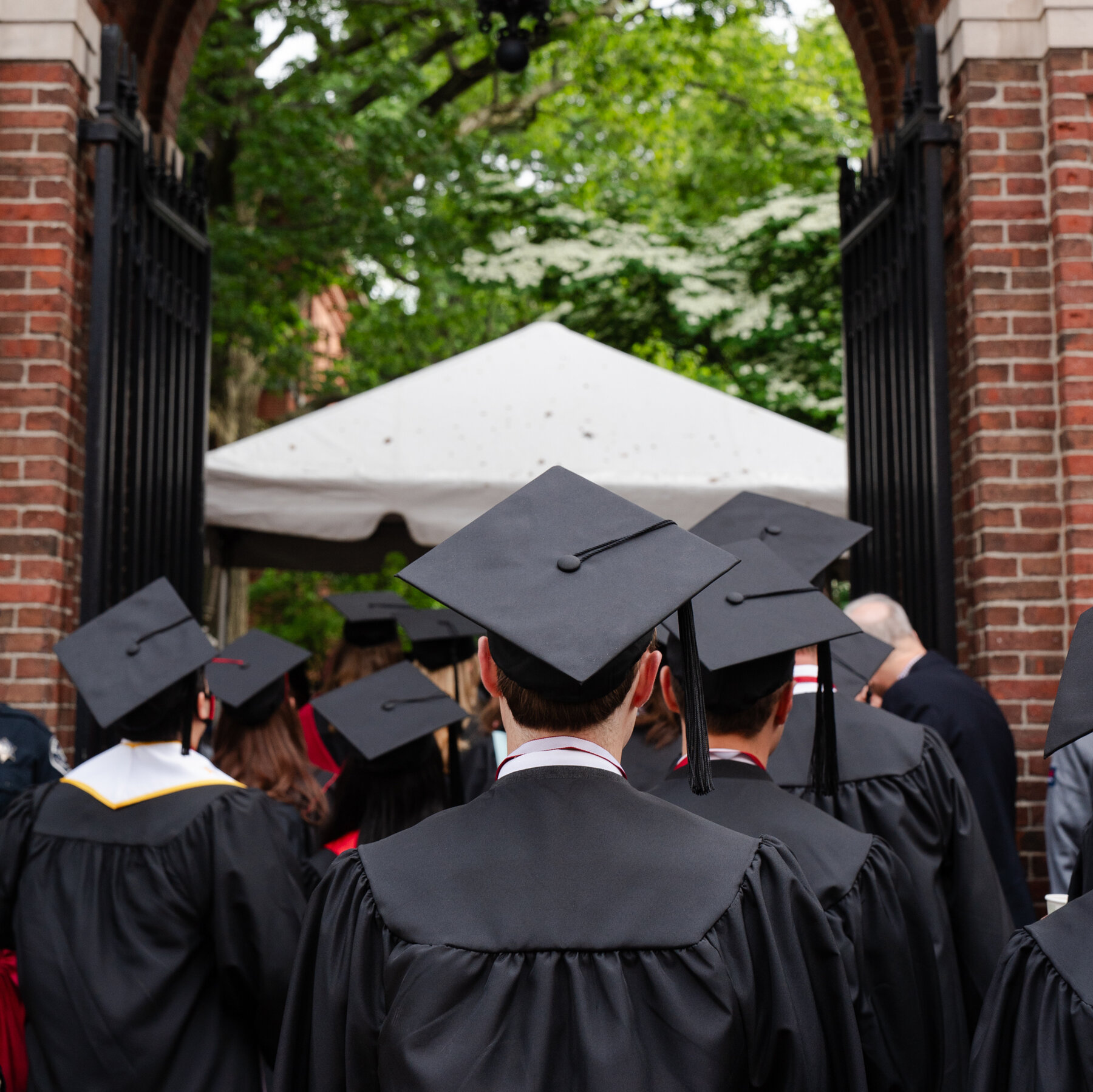 Are You an International Student Looking for Work?