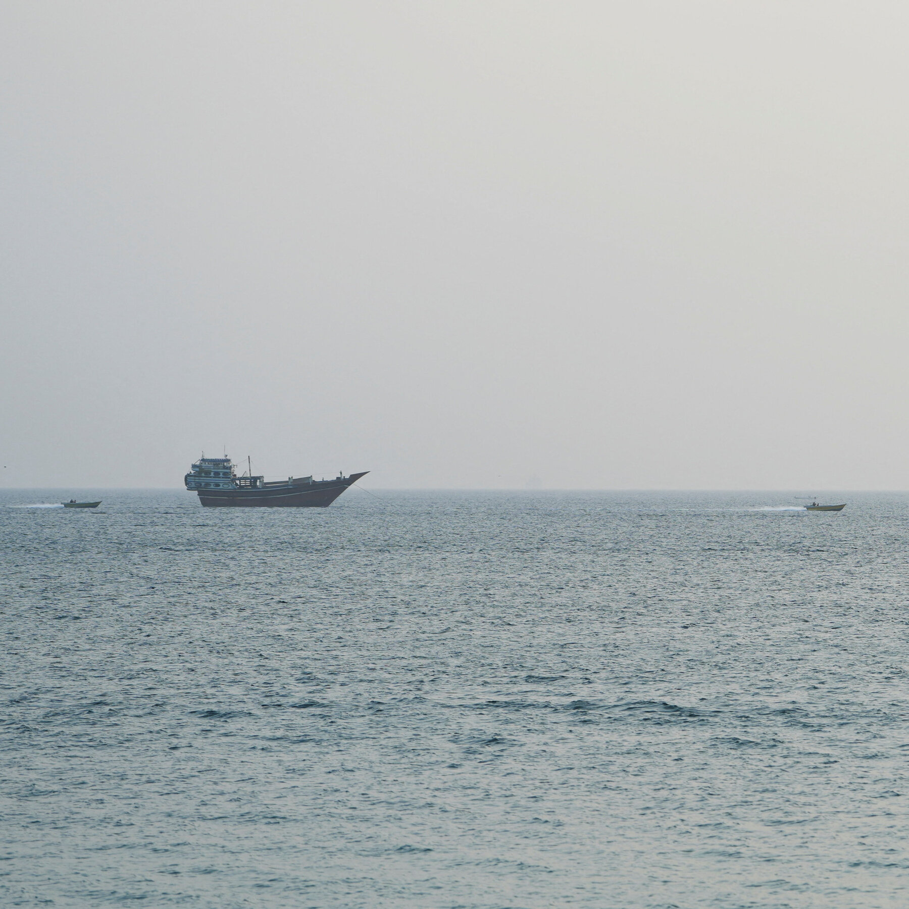 Trump Flip-Flops on Strait of Hormuz Plan, and U.S. Cyclospora Outbreak Spreads