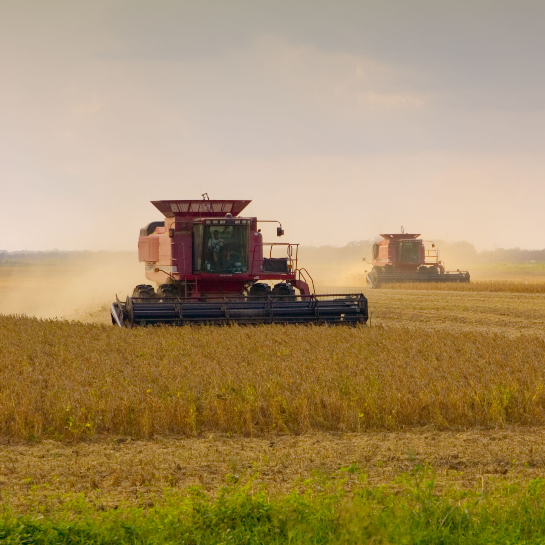 Supreme Court to Decide if the Pesticide Roundup Is Shielded From Lawsuits