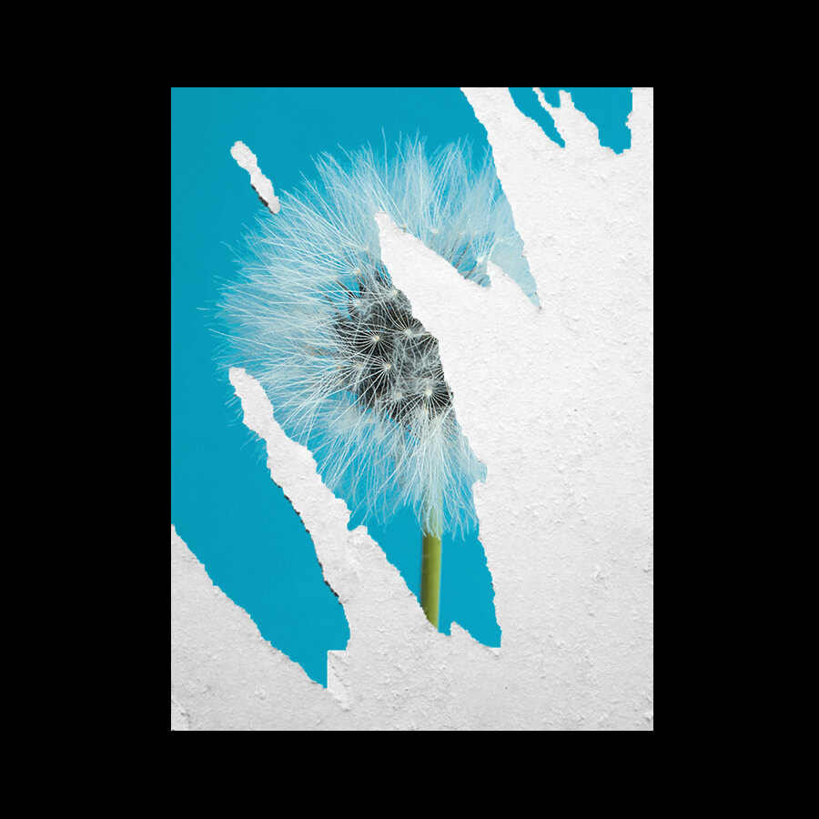 A Weakened Iran Won’t Transform the Middle East