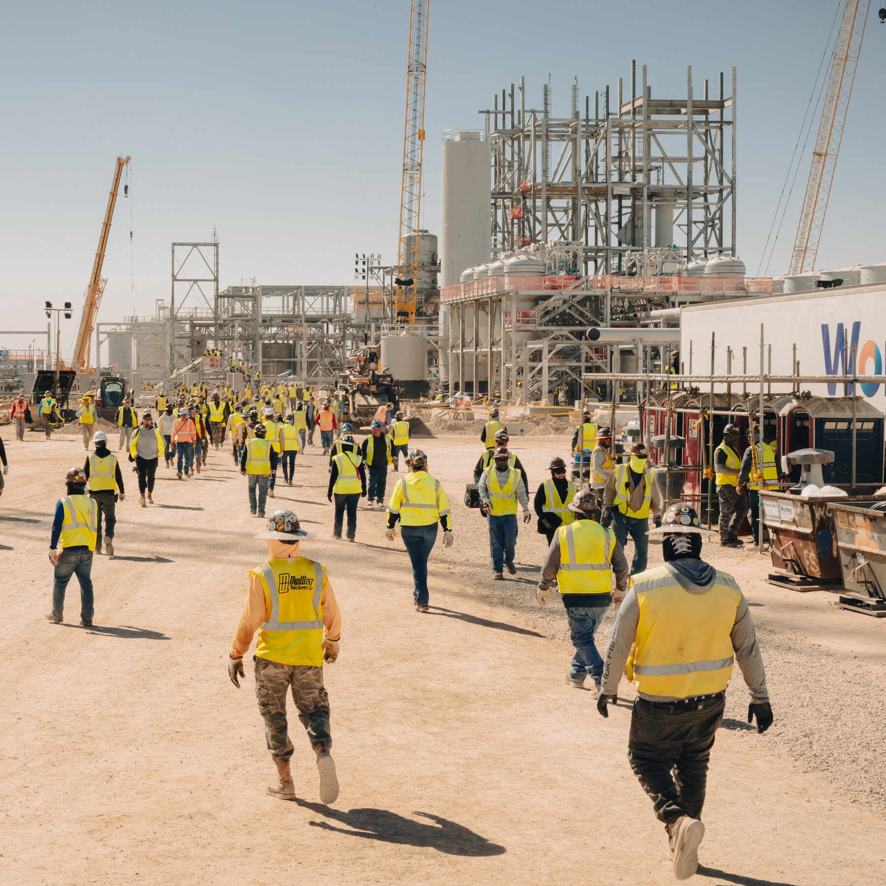 Carbon Removal Industry Reels as Microsoft Retreats