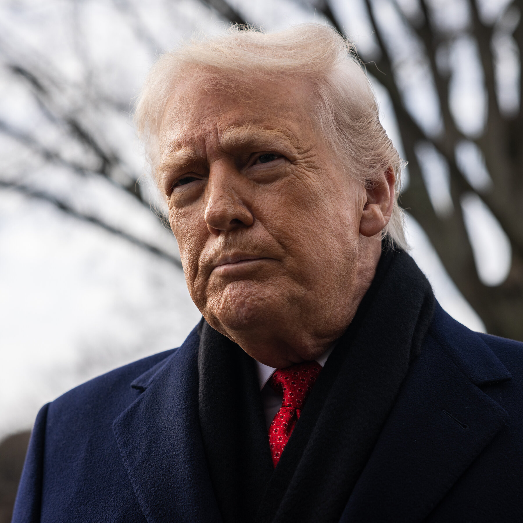 Trump Sets Fraudster Free From Prison for a Second Time