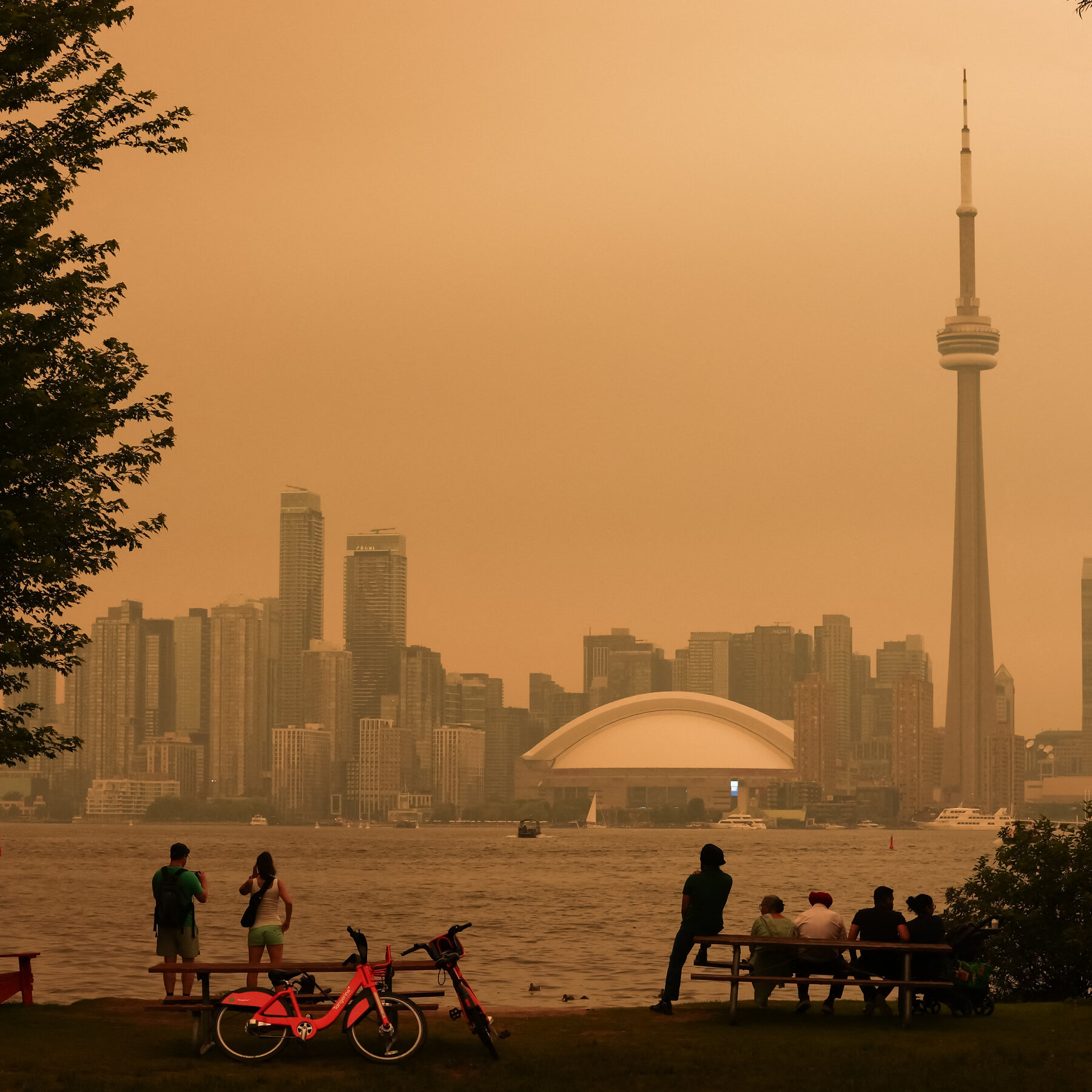 Maps Show Where Wildfire Smoke Will Darken Skies on Thursday