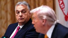 What Hungary's Orban did - and didn't - get from Trump