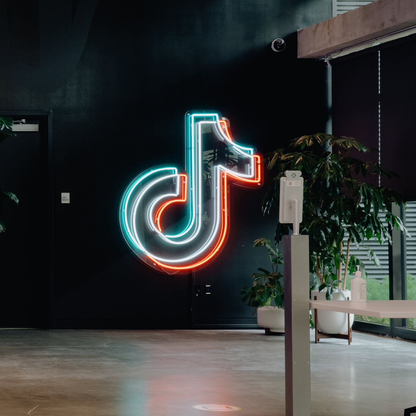 A Timeline of TikTok’s Evolution, From Dances to BookTok to the Supreme Court