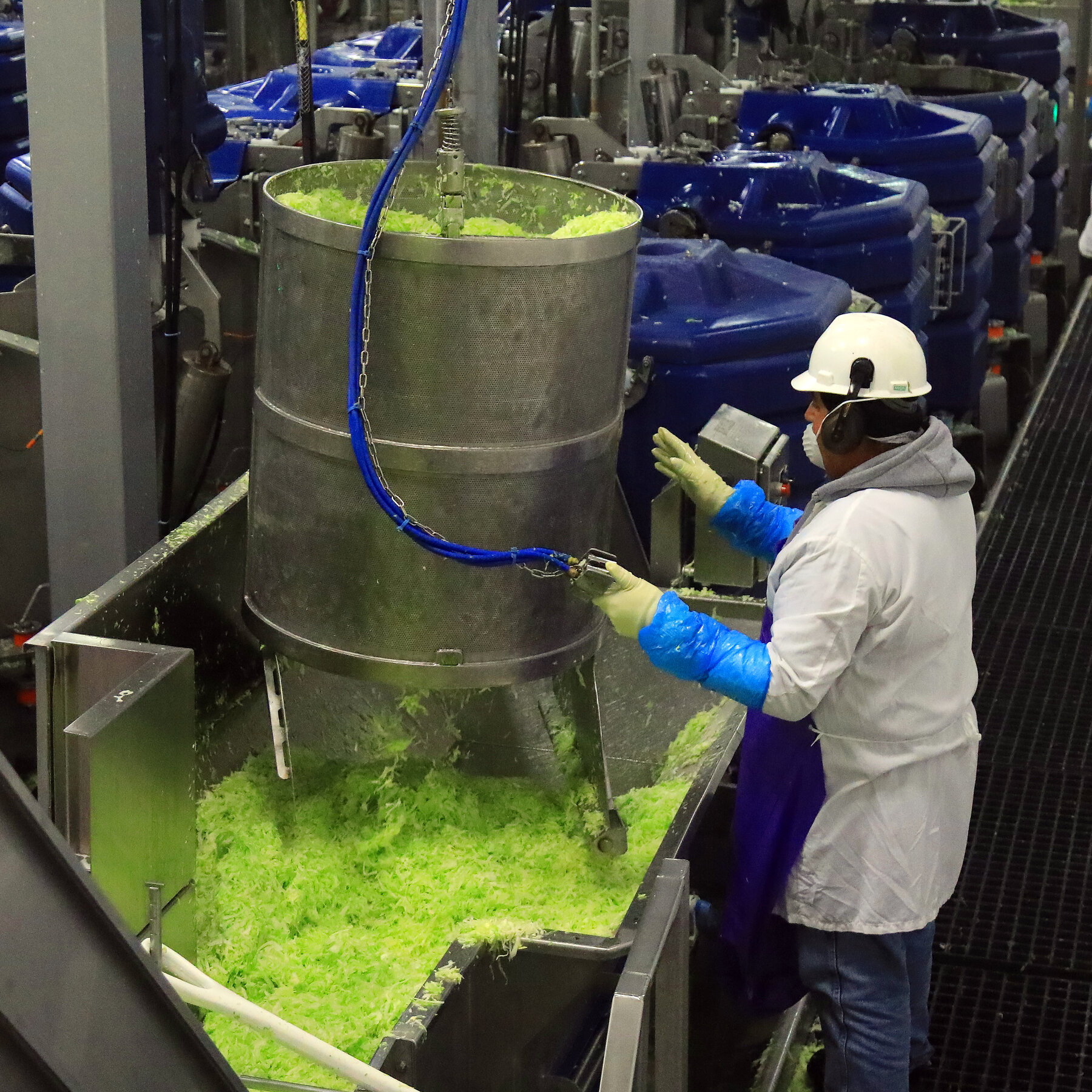 Taylor Farms to Remove Products After Lettuce Is Linked to Cyclospora Cases