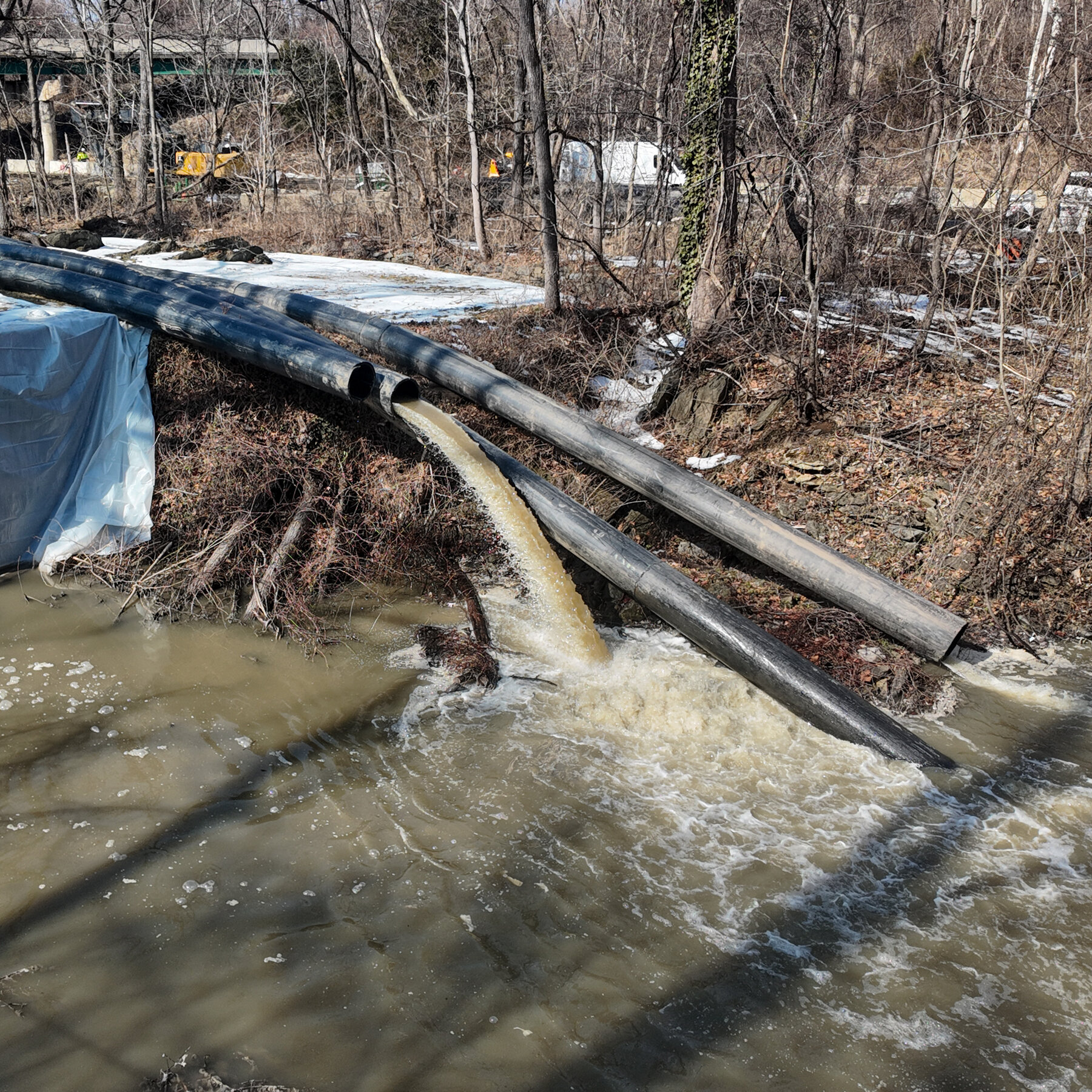 Potomac Sewage Spill Becomes Ecological Disaster and Political Fight
