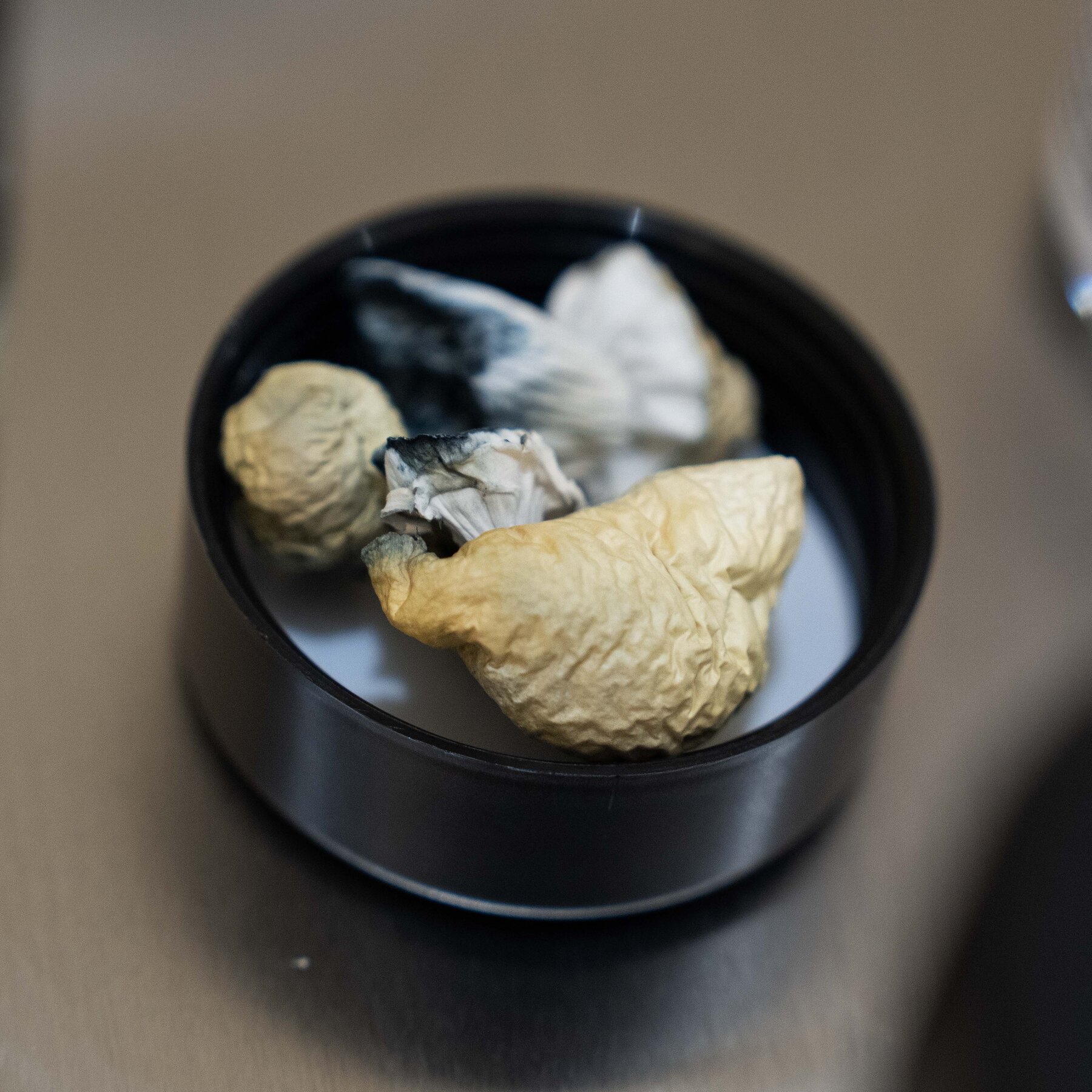 Trump Expected to Loosen Restrictions on Psychedelic Drugs