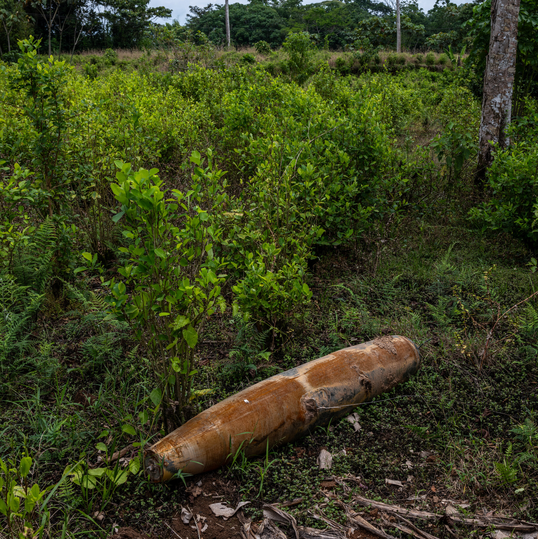 An Unexploded Bomb Near the Colombia-Ecuador Border Leads to a Diplomatic Clash