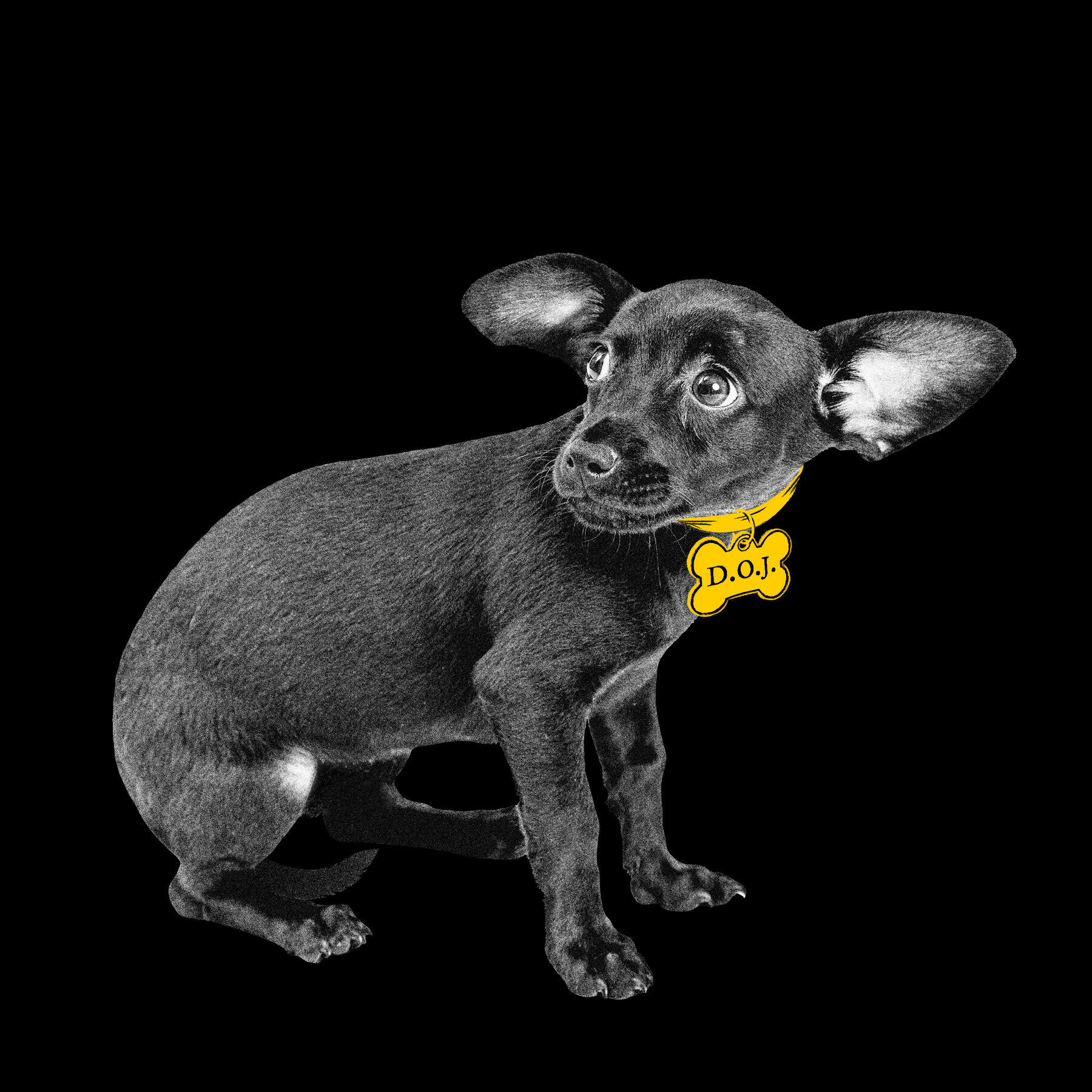 One Year In, Trump’s Attack on American Justice is Accelerating