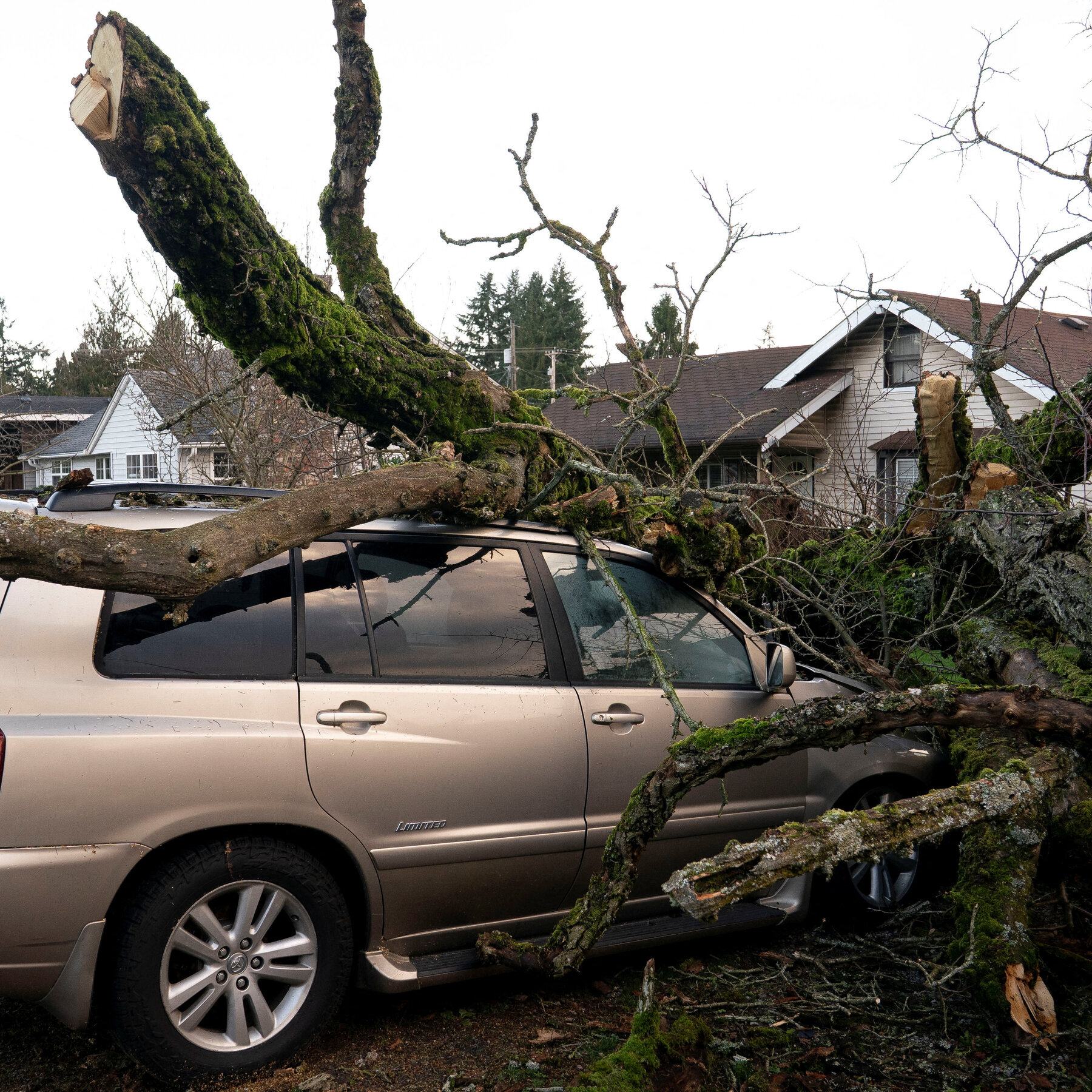 Storm Knocks Out Power for Hundreds of Thousands in the Pacific Northwest