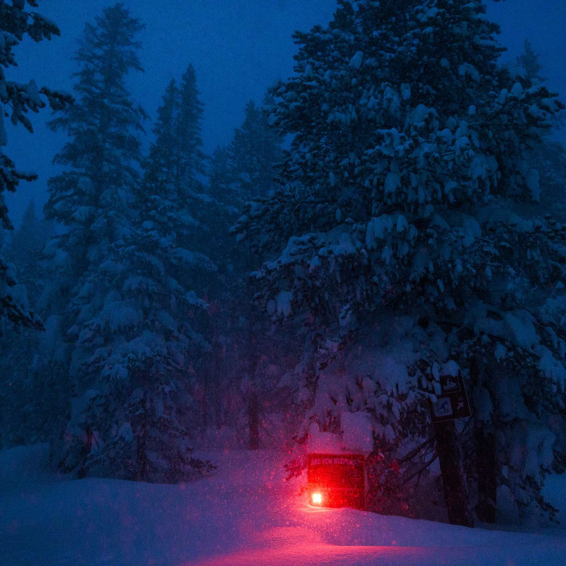 After Avalanche Warnings, a Sierra Nevada Tragedy