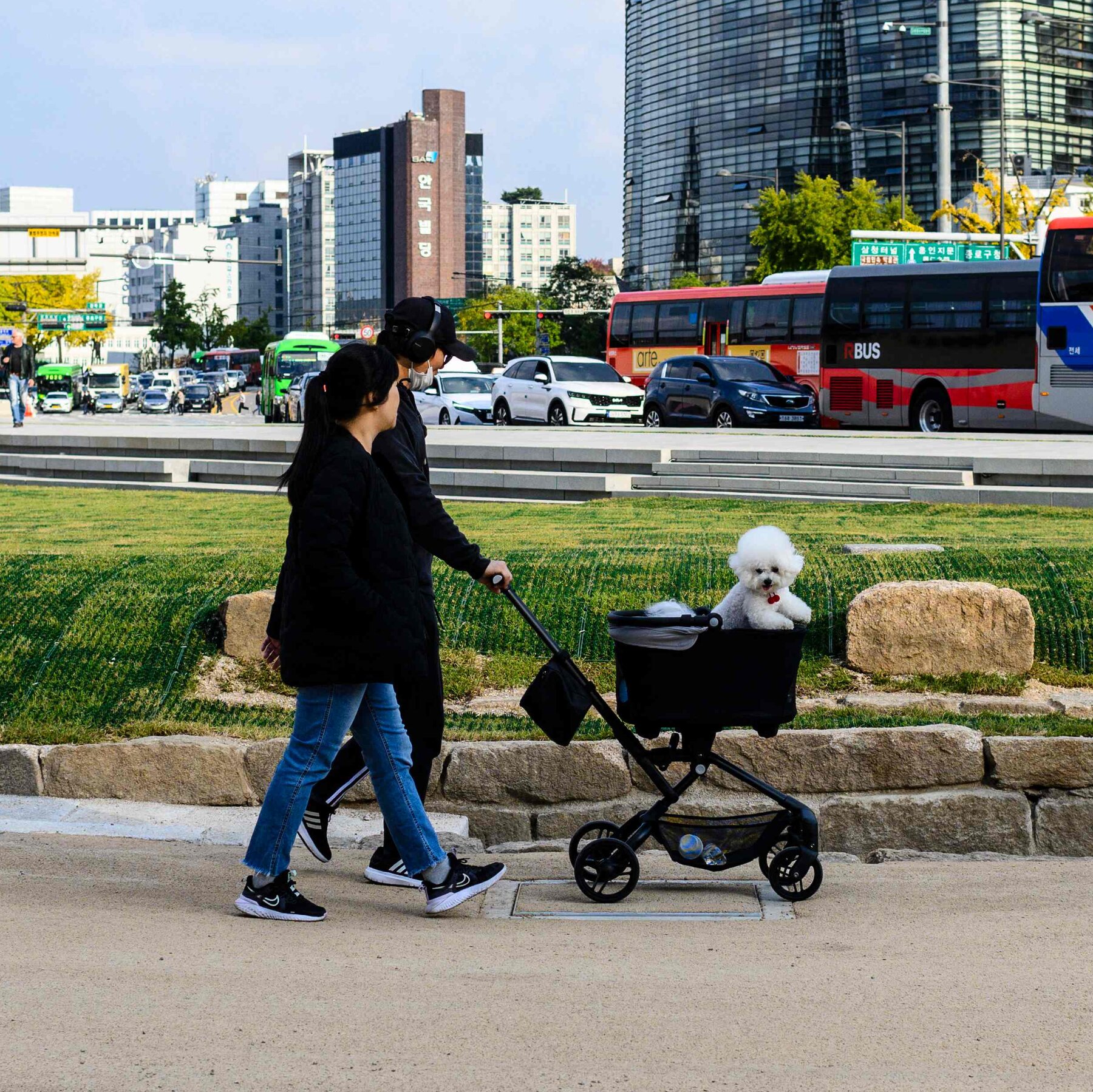 Birthrates Are Falling, but Don’t Blame Dogs in Strollers