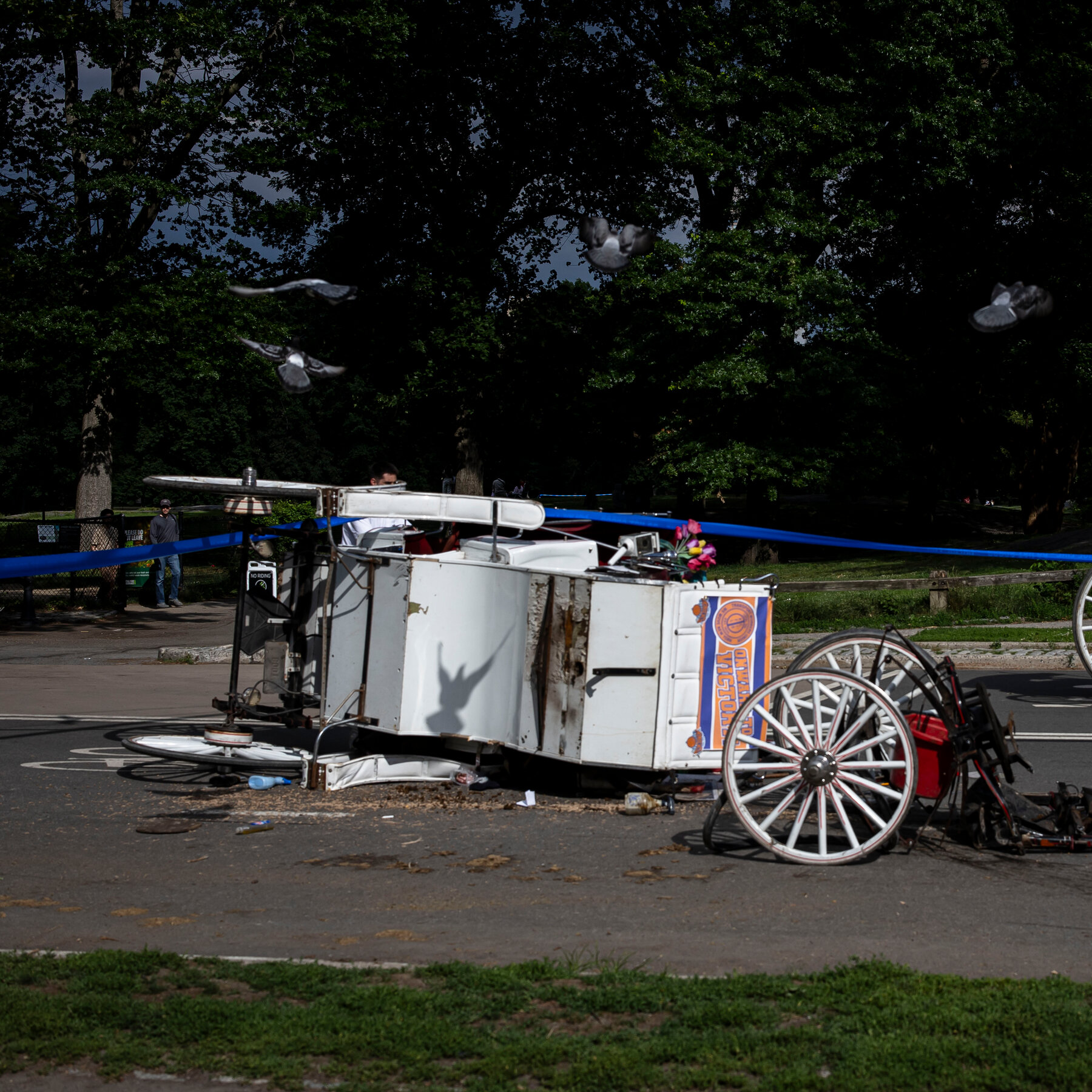 Central Park Rides Halted After Fatal Fall From Horse-Drawn Carriage
