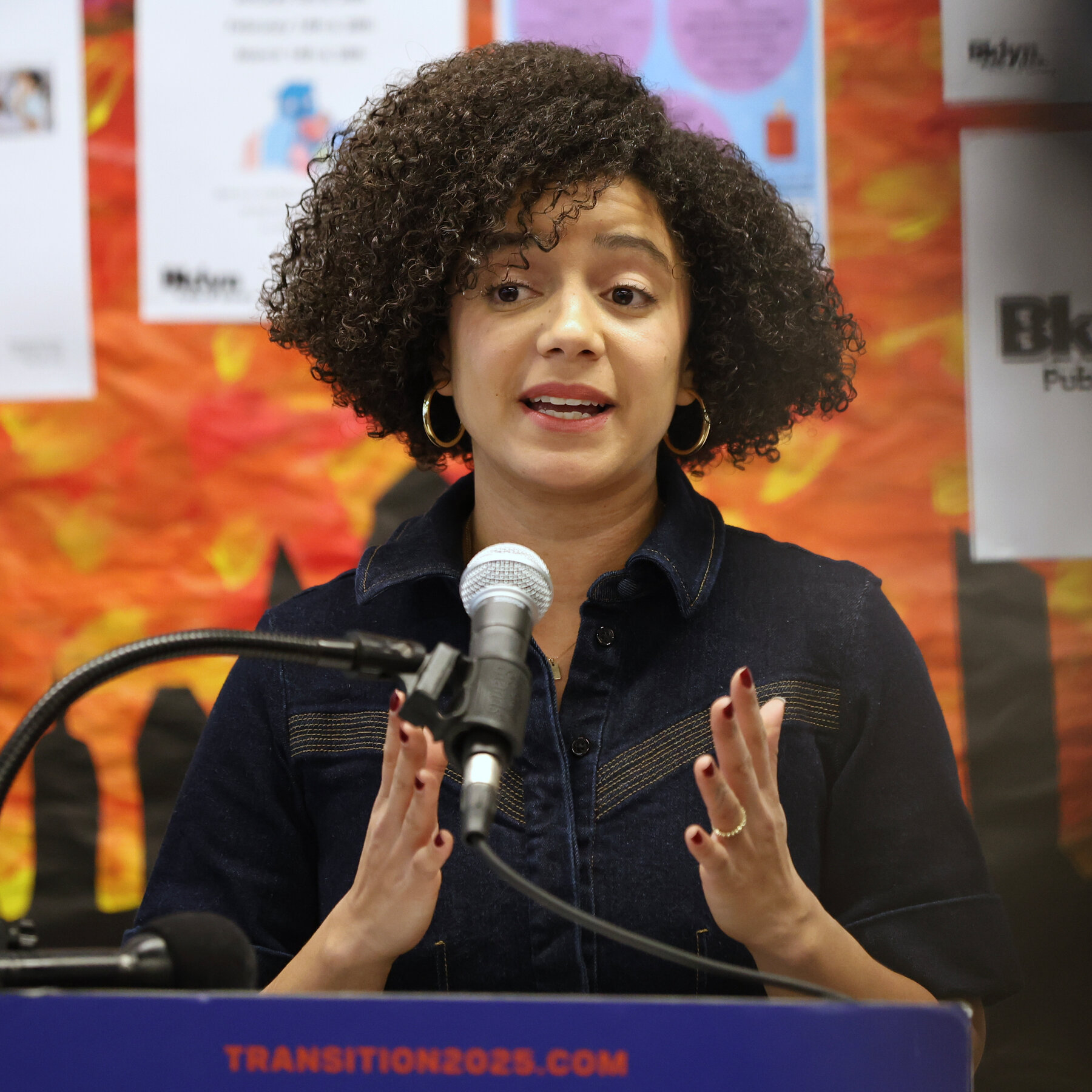 Mamdani Appointee Resigns After Decade-Old Antisemitic Posts Re-emerge