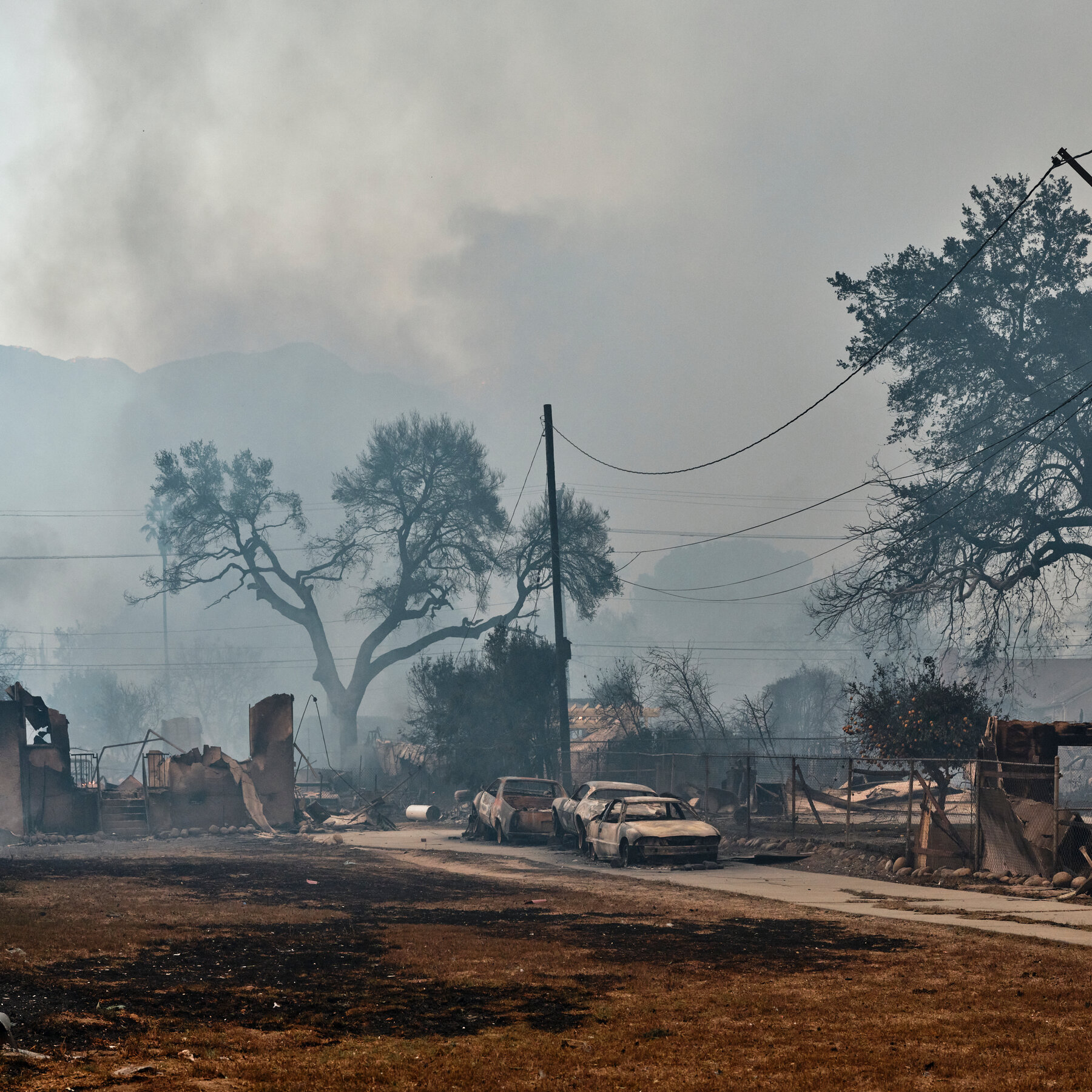 Los Angeles’s Response to Altadena Fire Hampered by Chaos, Report Finds