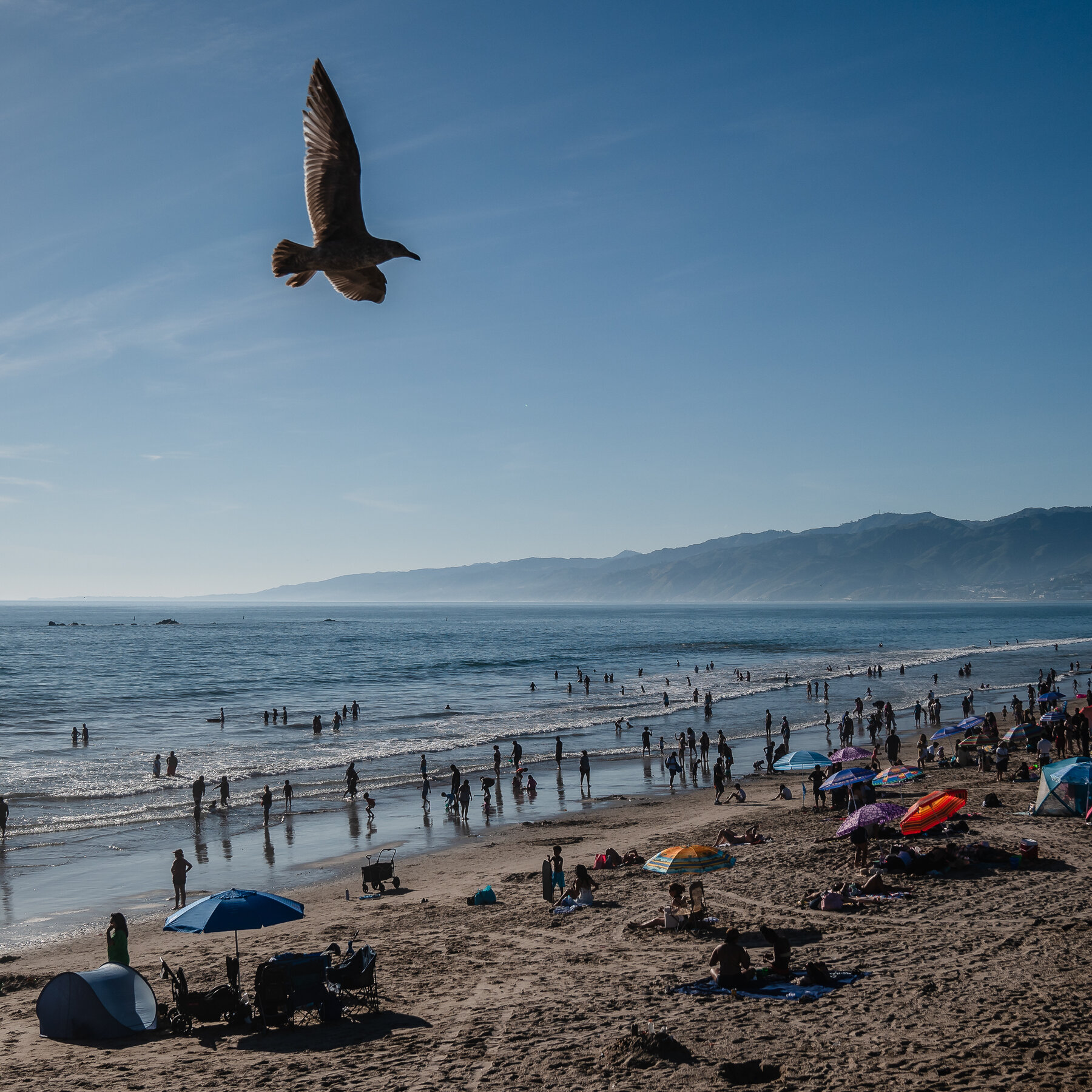 California Probably Hasn’t Seen the Worst of This Week’s Heat Wave