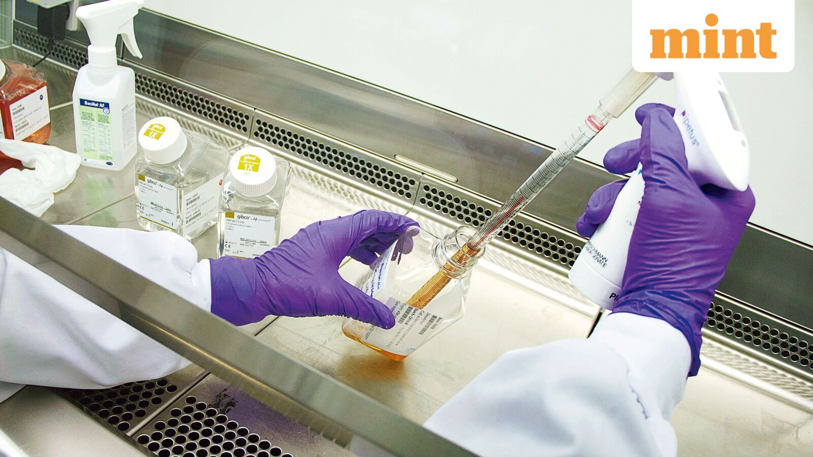 Nipah virus: Has China developed a cure? Researchers claim Covid-19 drug VV116 gives 66.7% positive results