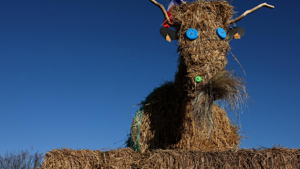 French farmers contest cattle disease measures and Mercorsur deal