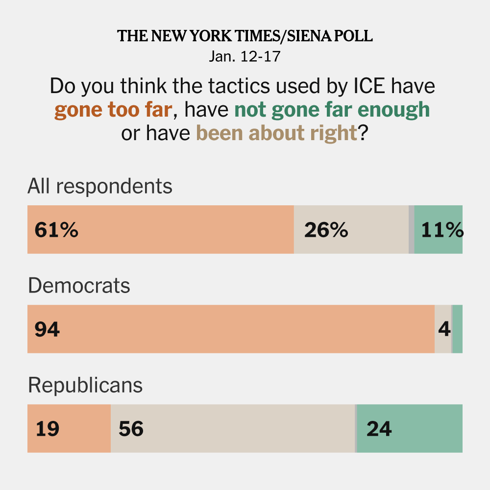 Voters Are Split on Deportations but Disapprove of ICE, Poll Finds