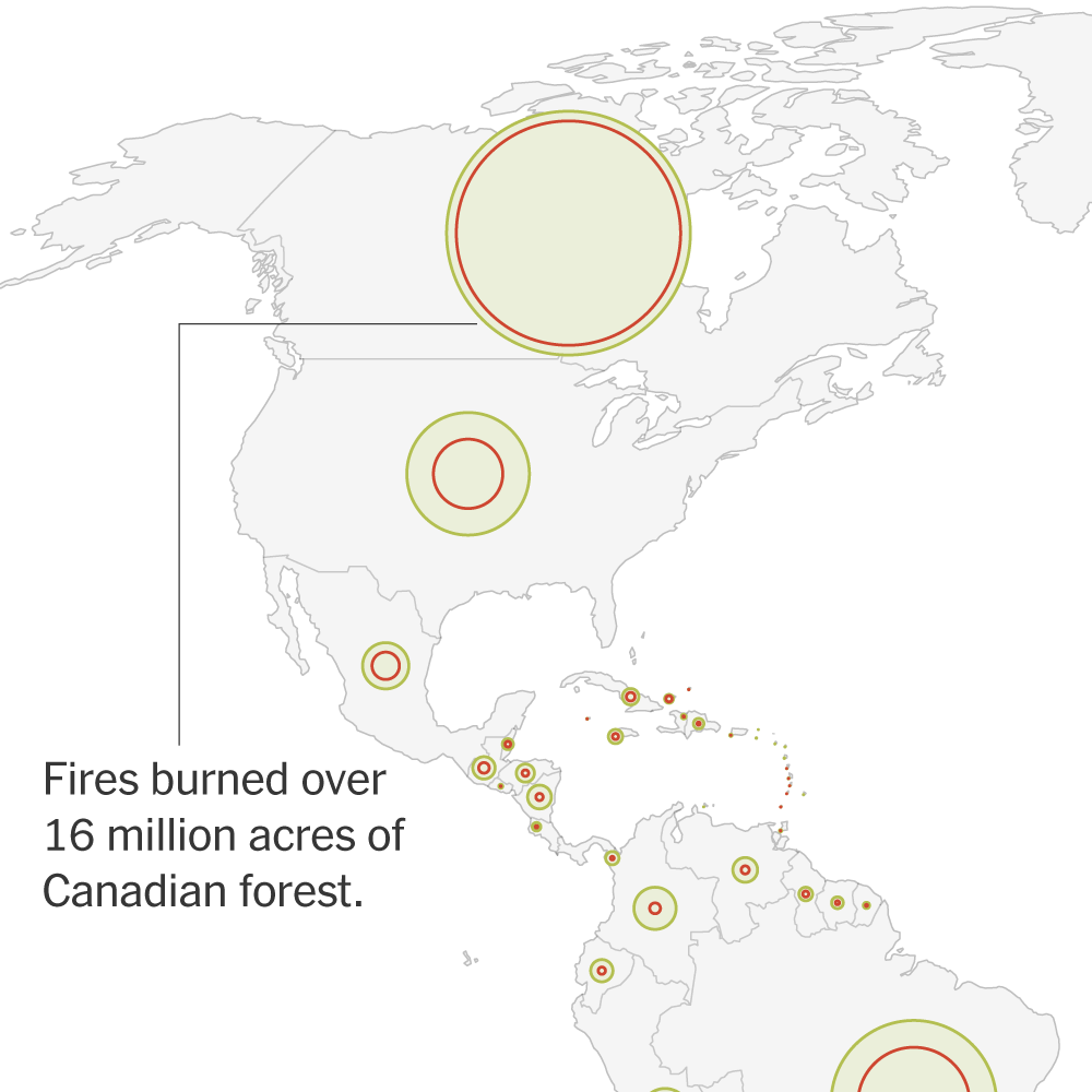 Global Deforestation Slows, W.R.I. Report Finds. But Wildfires Are Taking a Toll.