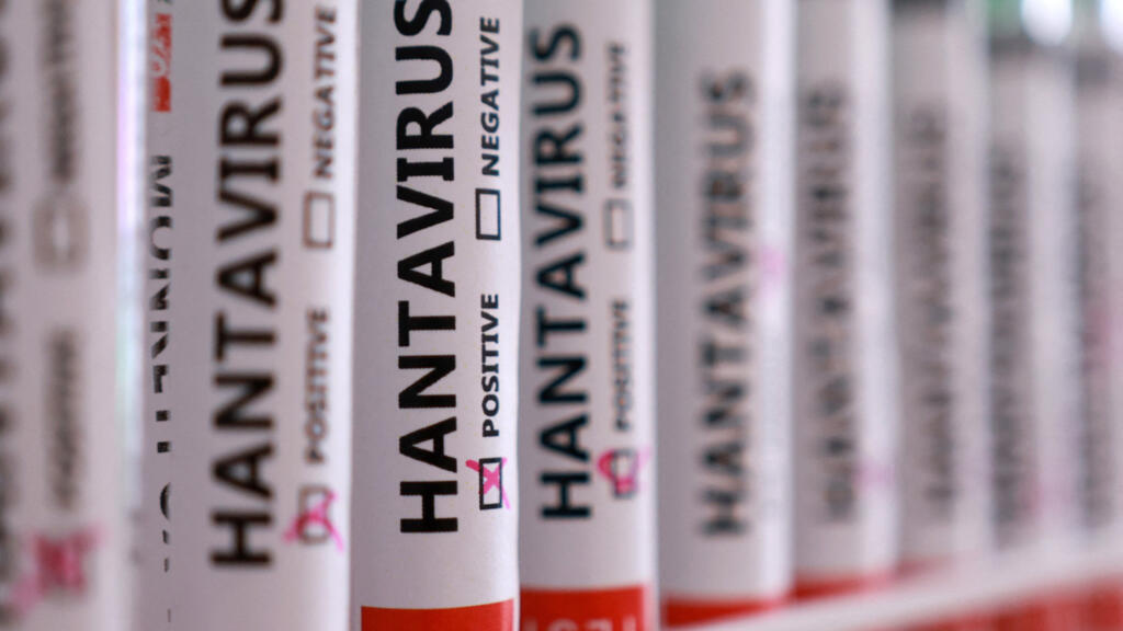 WWHO warns of 'limited' outbreak of hantavirus as countries move to contain spread