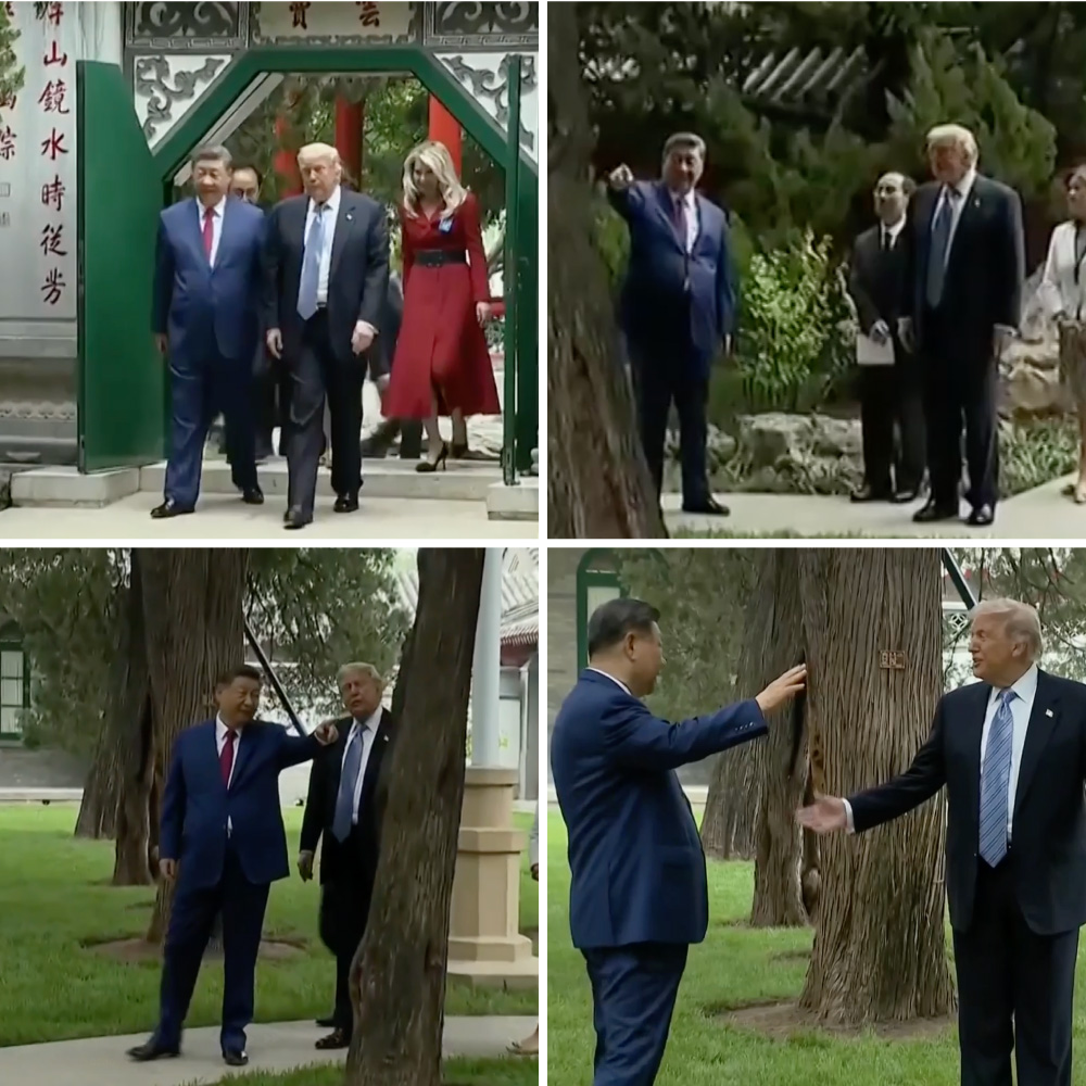 ‘For Example, Putin’: How Xi Used a Private Garden Walk to Charm Trump