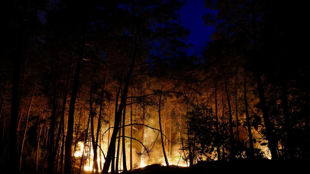 Fontainebleau forest near Paris hit by 'very virulent' wildfire