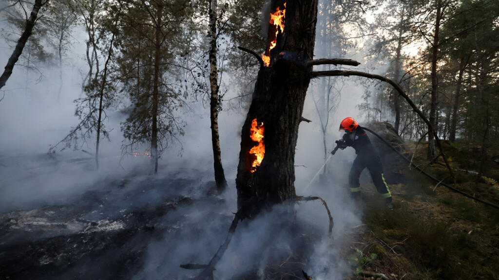 More than 1,900 hectares of Fontainebleau forest near Paris destroyed by wildfires