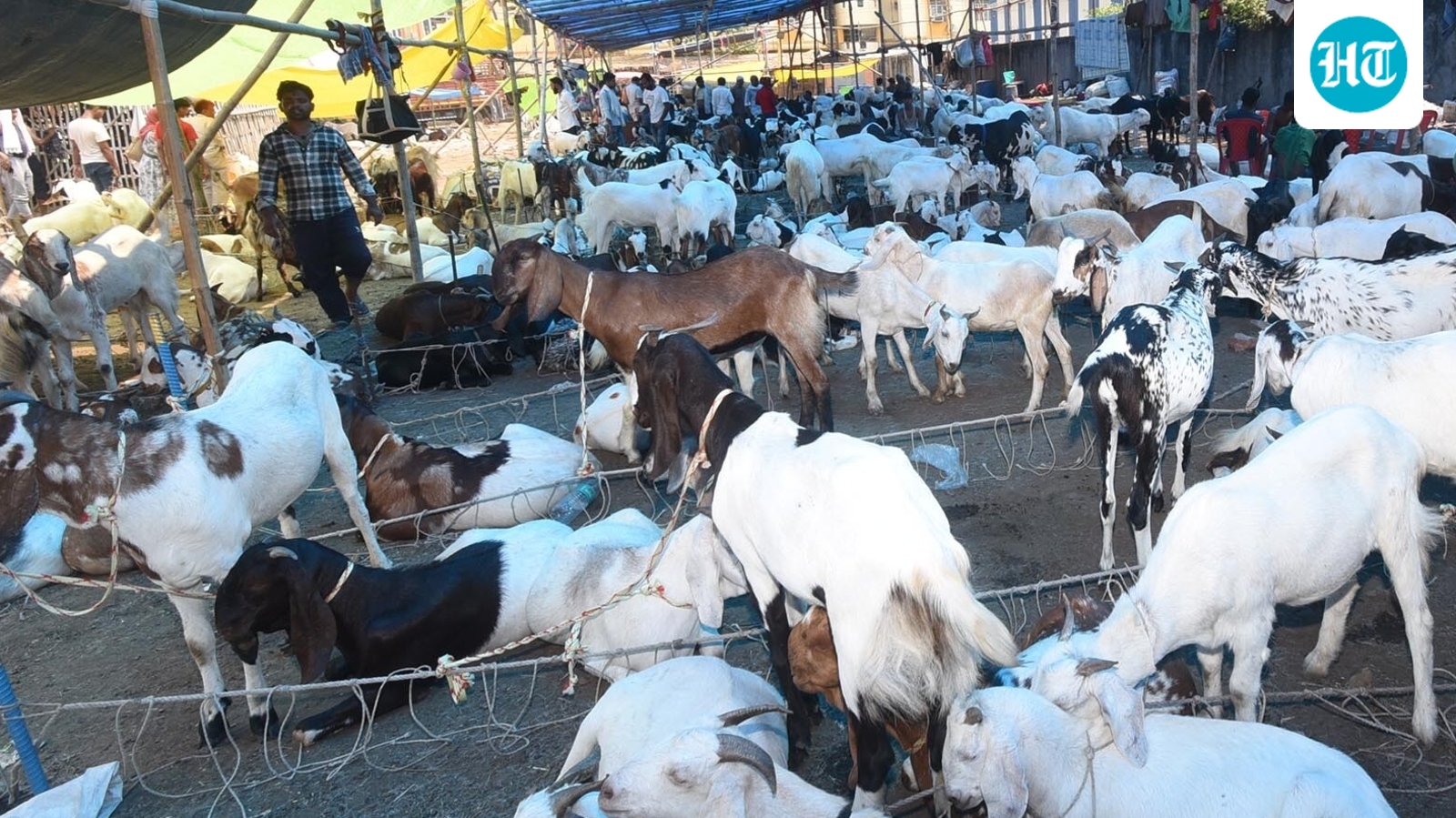 Clashes erupt in Mumbai's Mira Road over alleged goat sacrifice ahead of Eid al-Adha, FIR filed