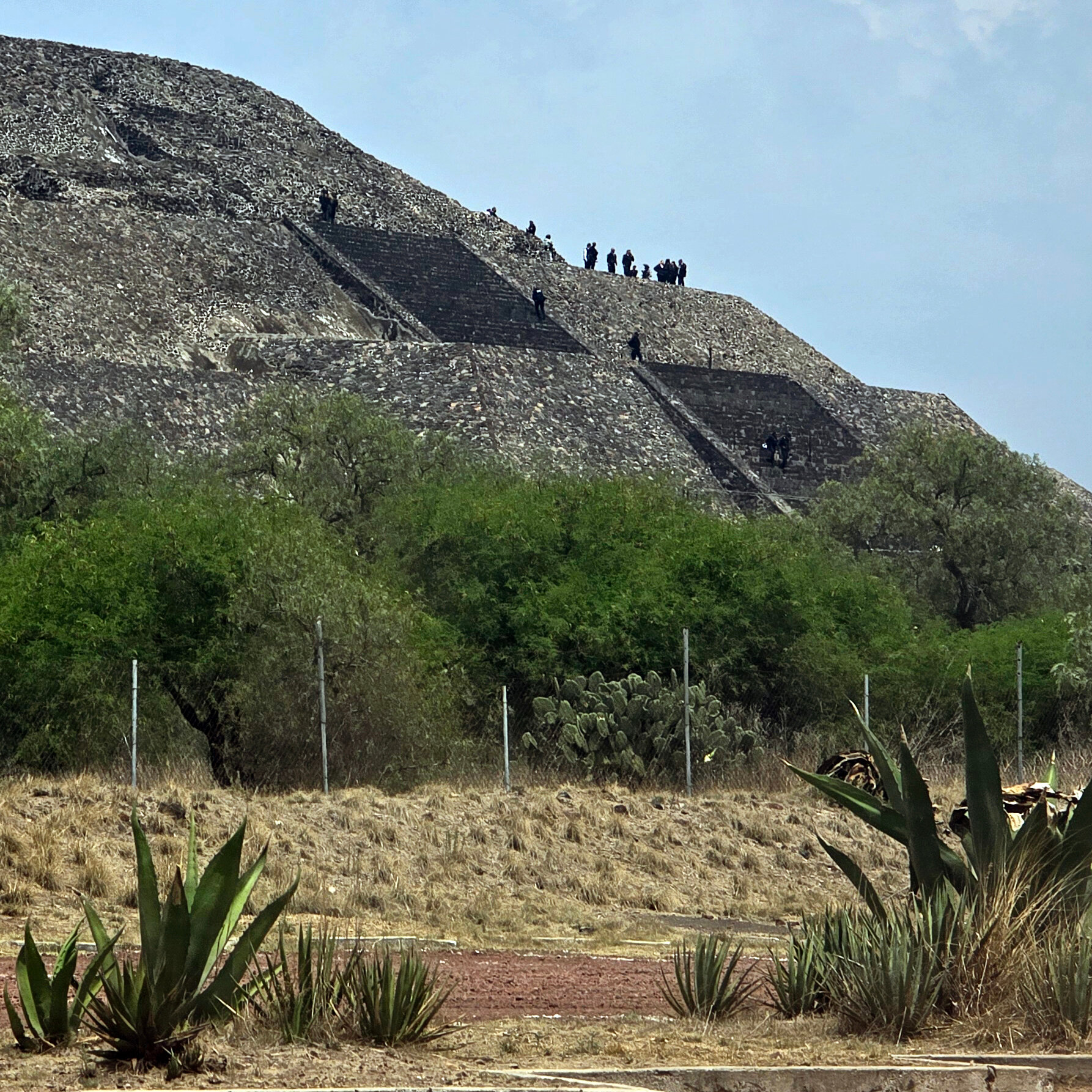 Canadian Tourist Is Shot Dead in Shooting at Mexico’s Pyramids