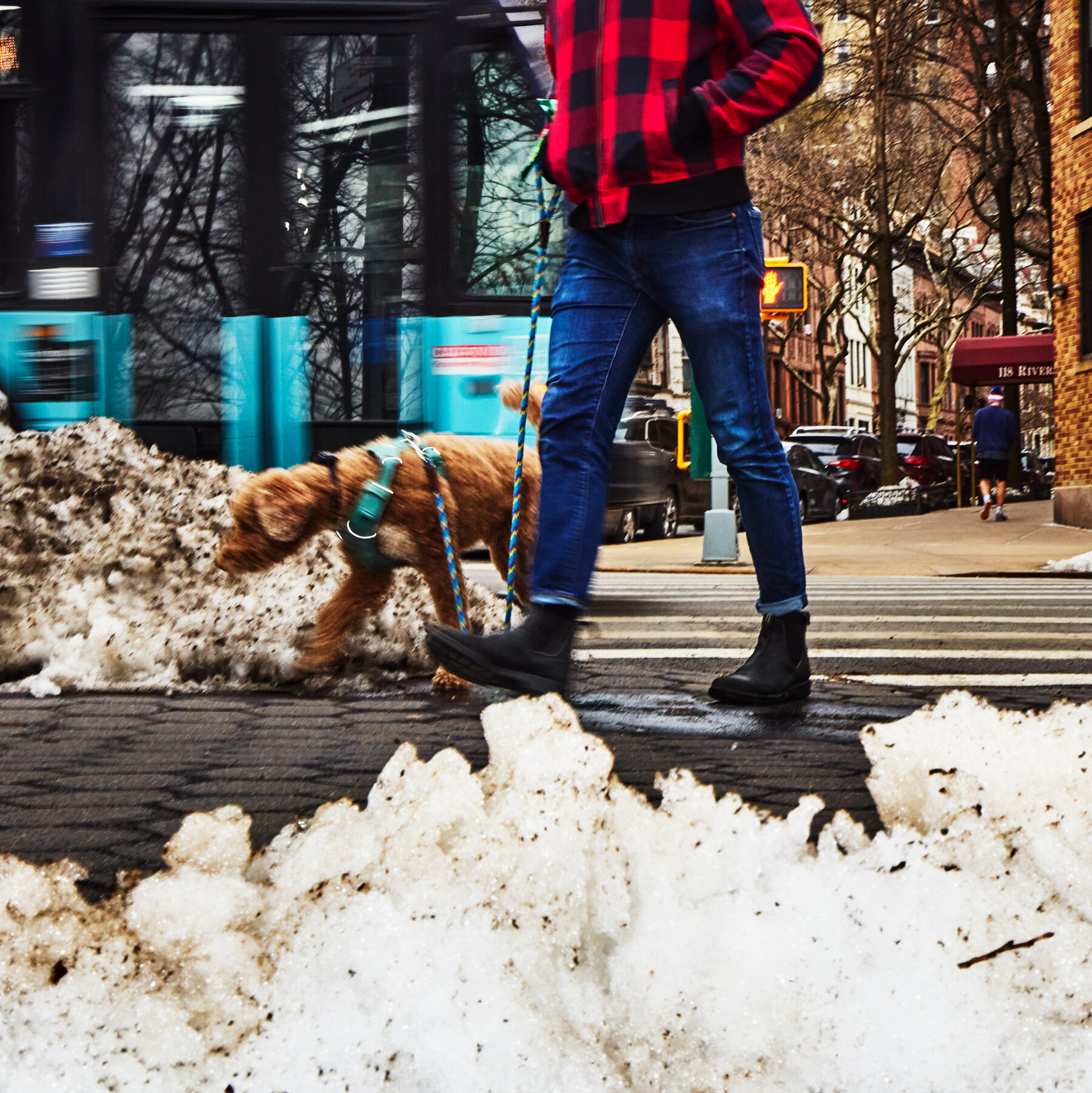 Dog Poop Wars: In New York, the Snow Is Foul, and So Is the Discourse