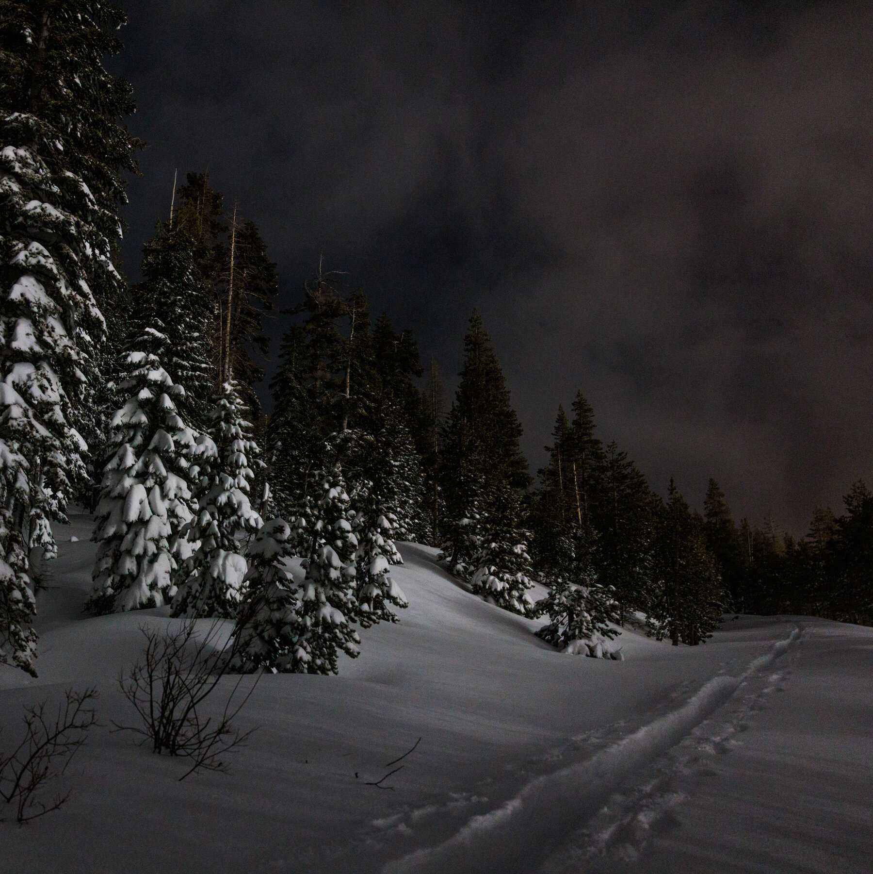 These Skiers Cleared Out as Group That Would Be Hit by Avalanche Arrived