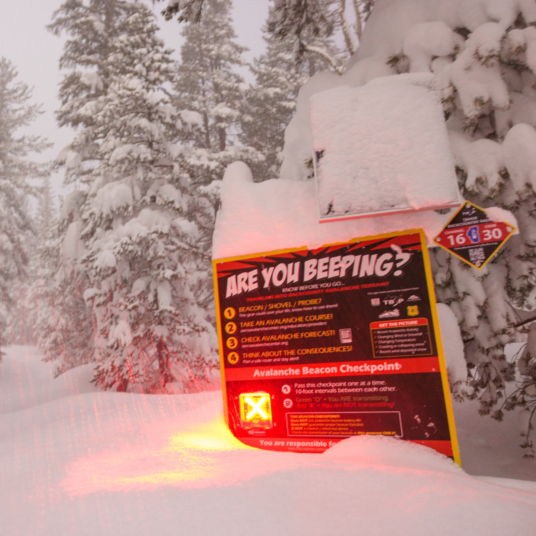 Was Anyone at Fault in Sierra Nevada Avalanche Deaths?