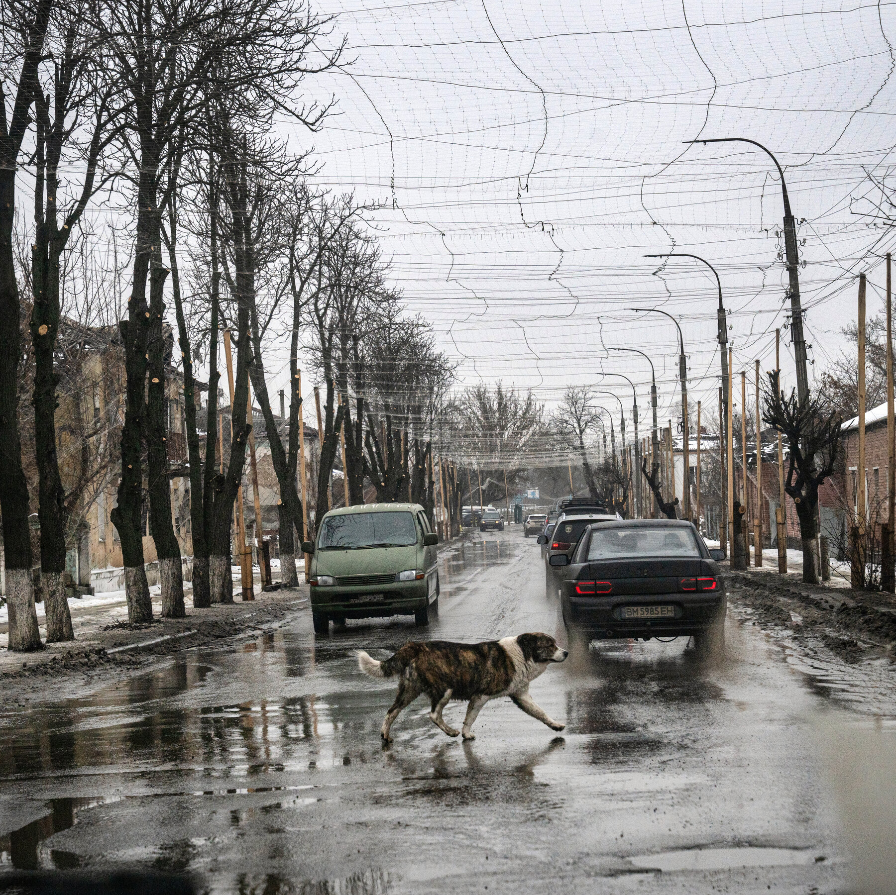 ‘Donnyland’? Ukraine Proposes Renaming Part of the Donbas in Trump’s Honor