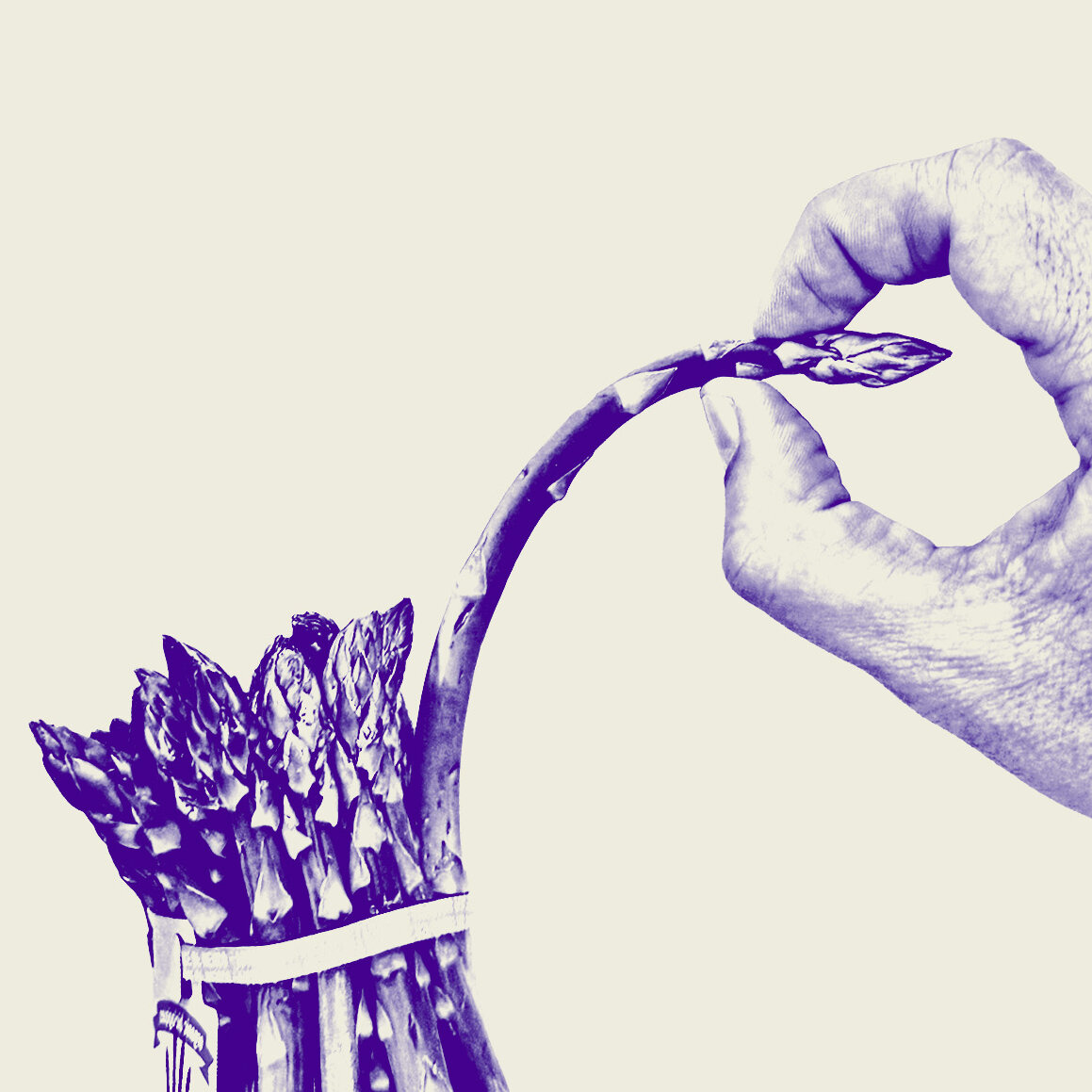 ‘The Rich Don’t Play by the Rules. So Why Should I?’