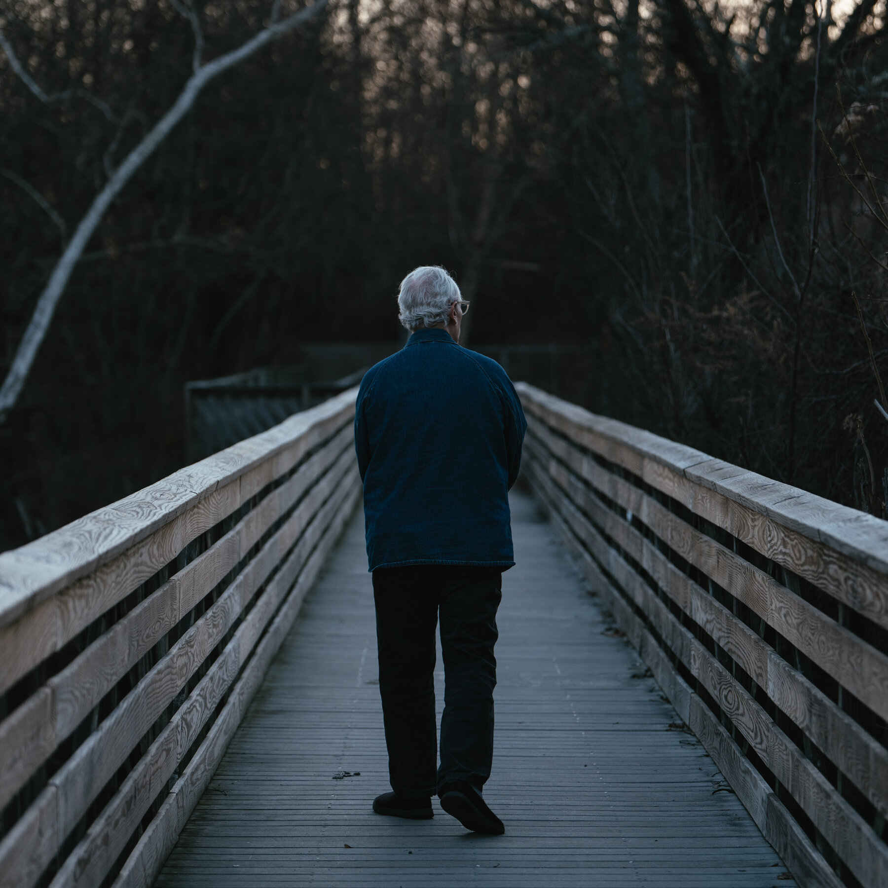 David A. Ross Sought Epstein’s Help to Build Art Museums. Now He’s Facing the Fallout.