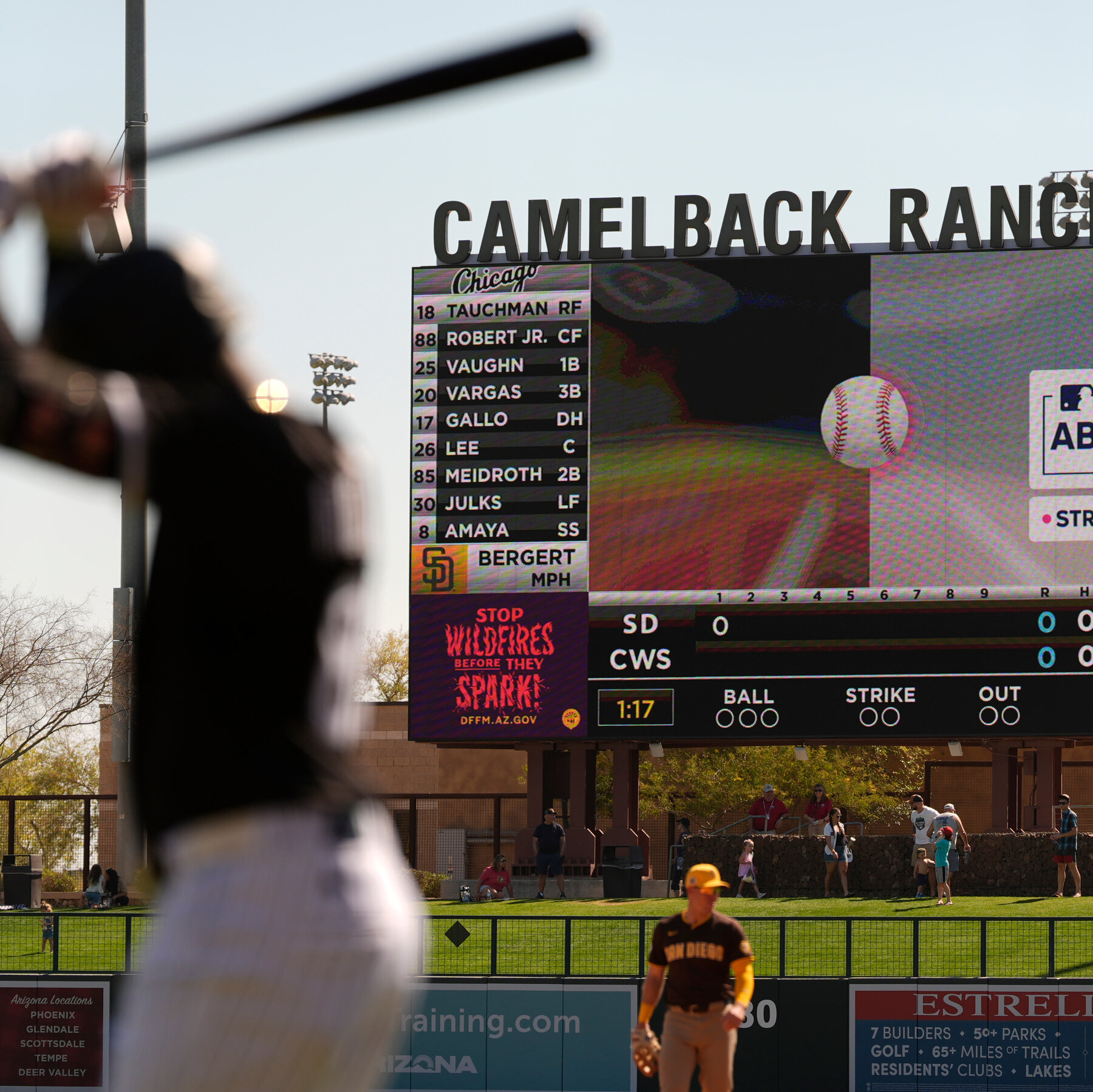 Introducing the Robot Umpire