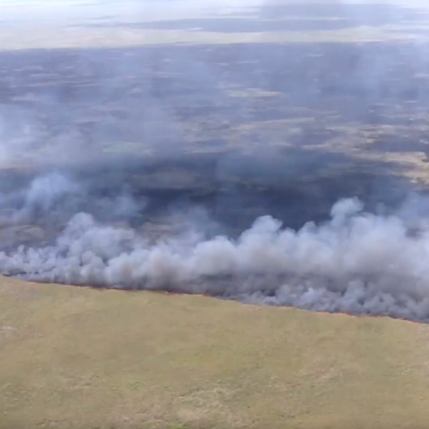 Wildfires in Georgia Destroy Homes and Set Off Evacuations