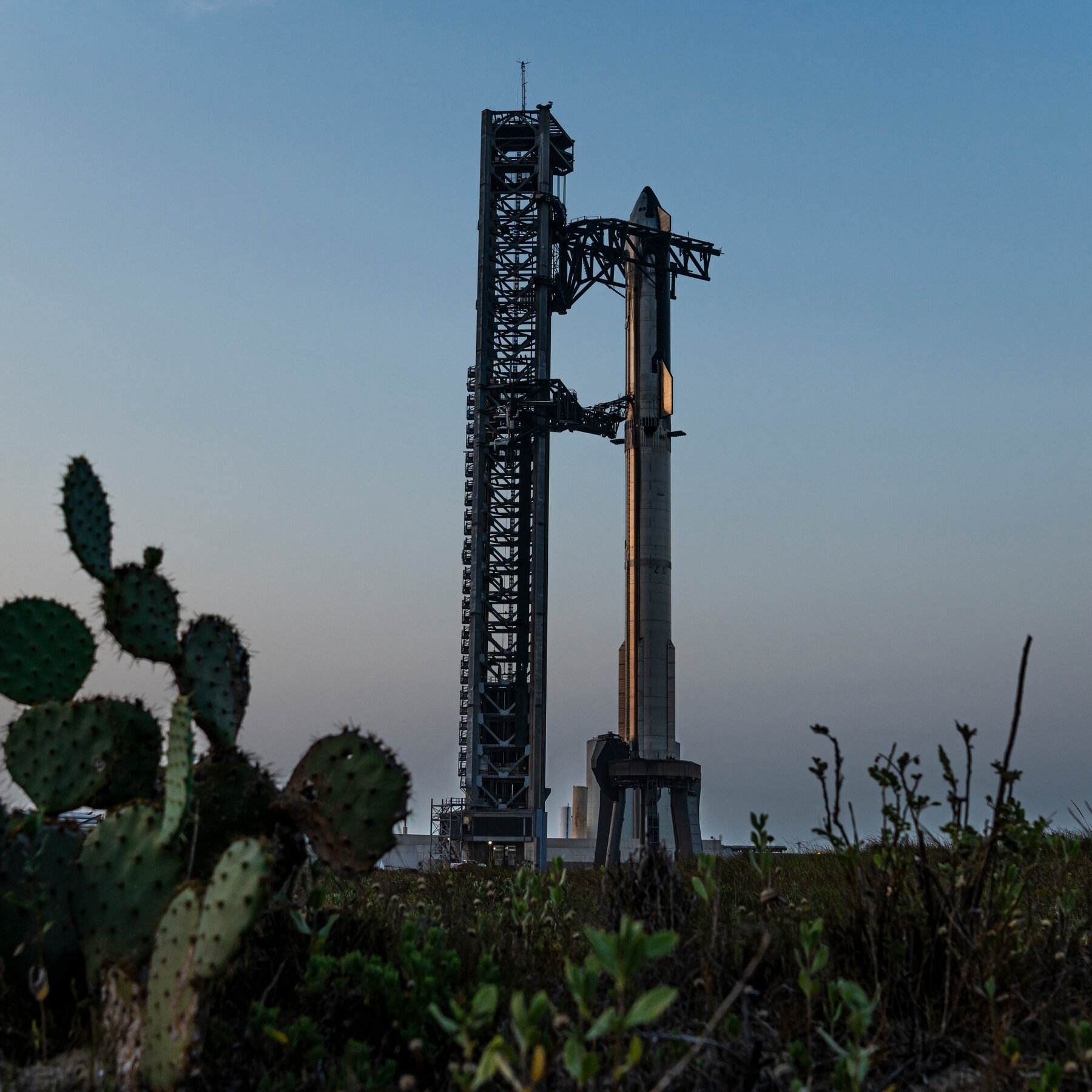 Trump May Give SpaceX Some Land In A Texas Wildlife Refuge