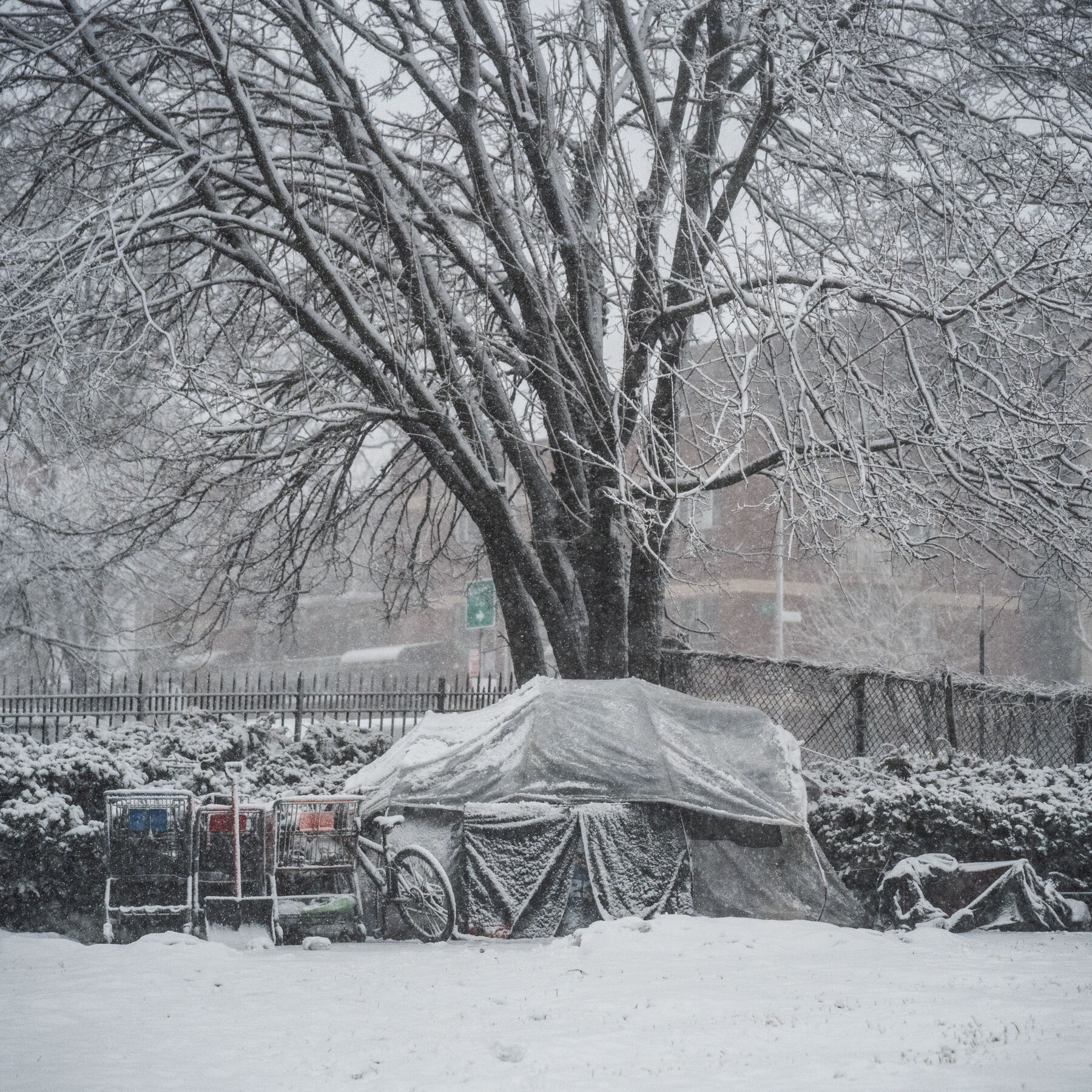 New York City’s Homeless Population Endures Another Dangerous Storm