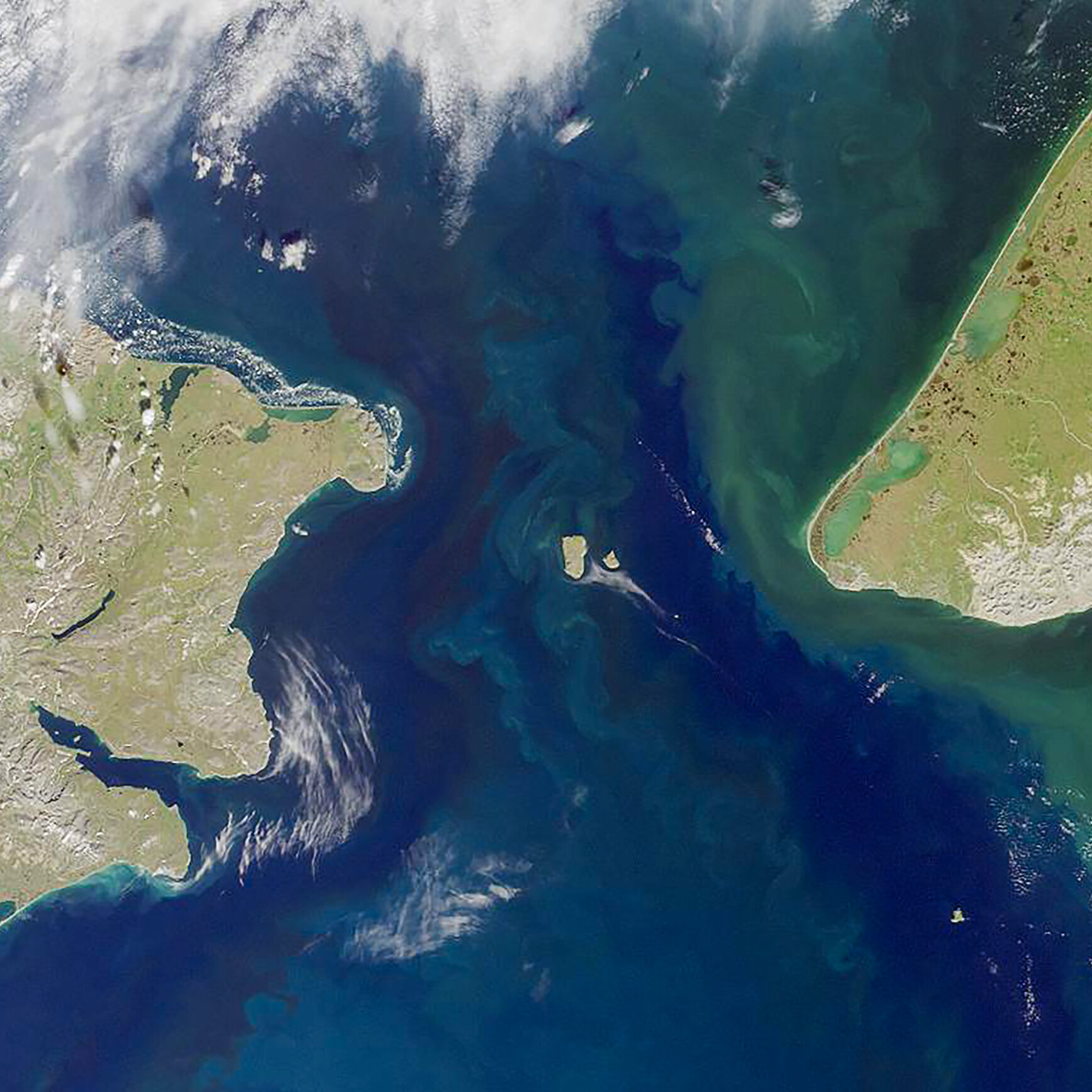 A New Idea to Save the AMOC? Dam the Bering Strait.