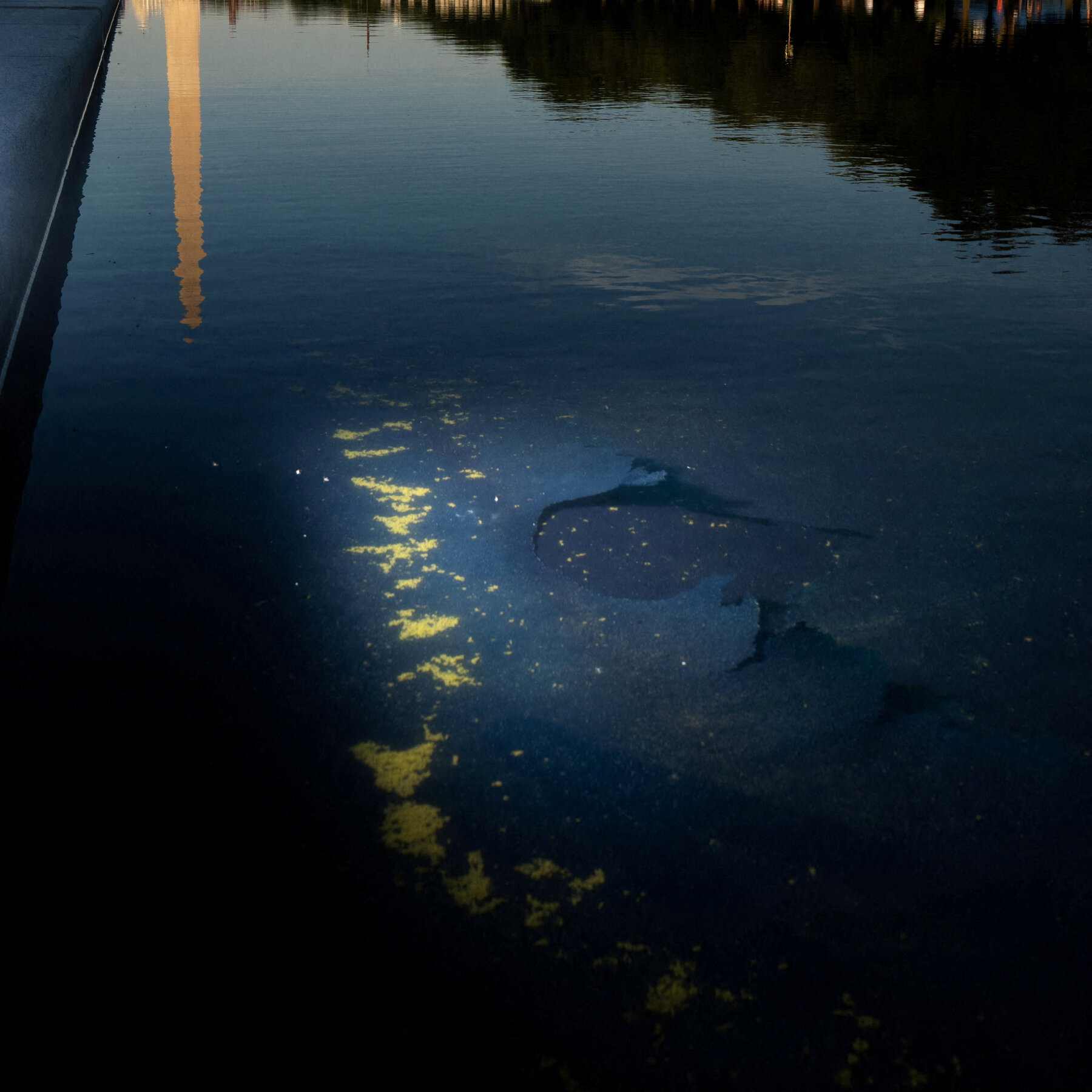 President Narcissus and the Fetid Reflecting Pool