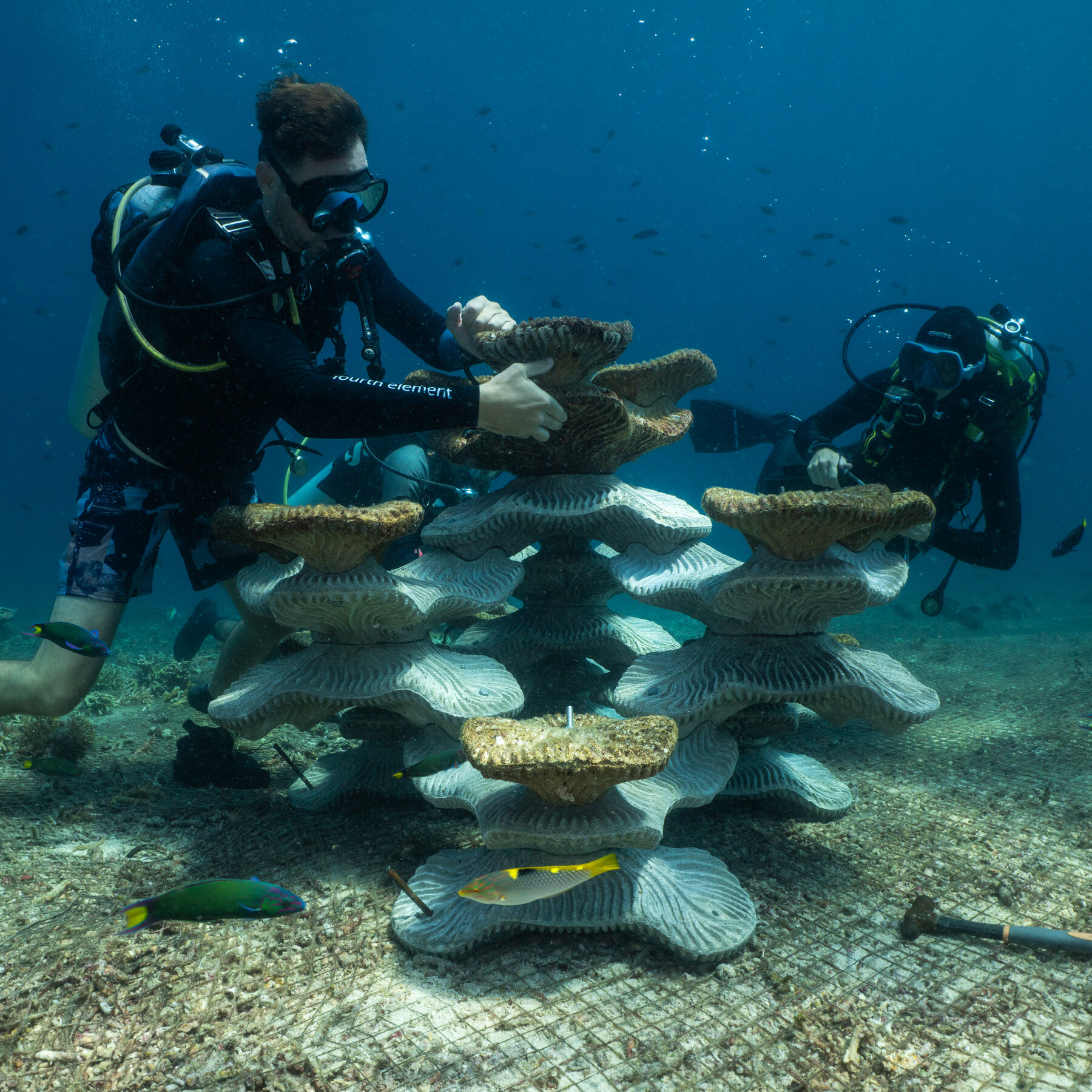 Can Concrete Molds Revive Coral Reefs Ruined by Bombs and Climate Change?