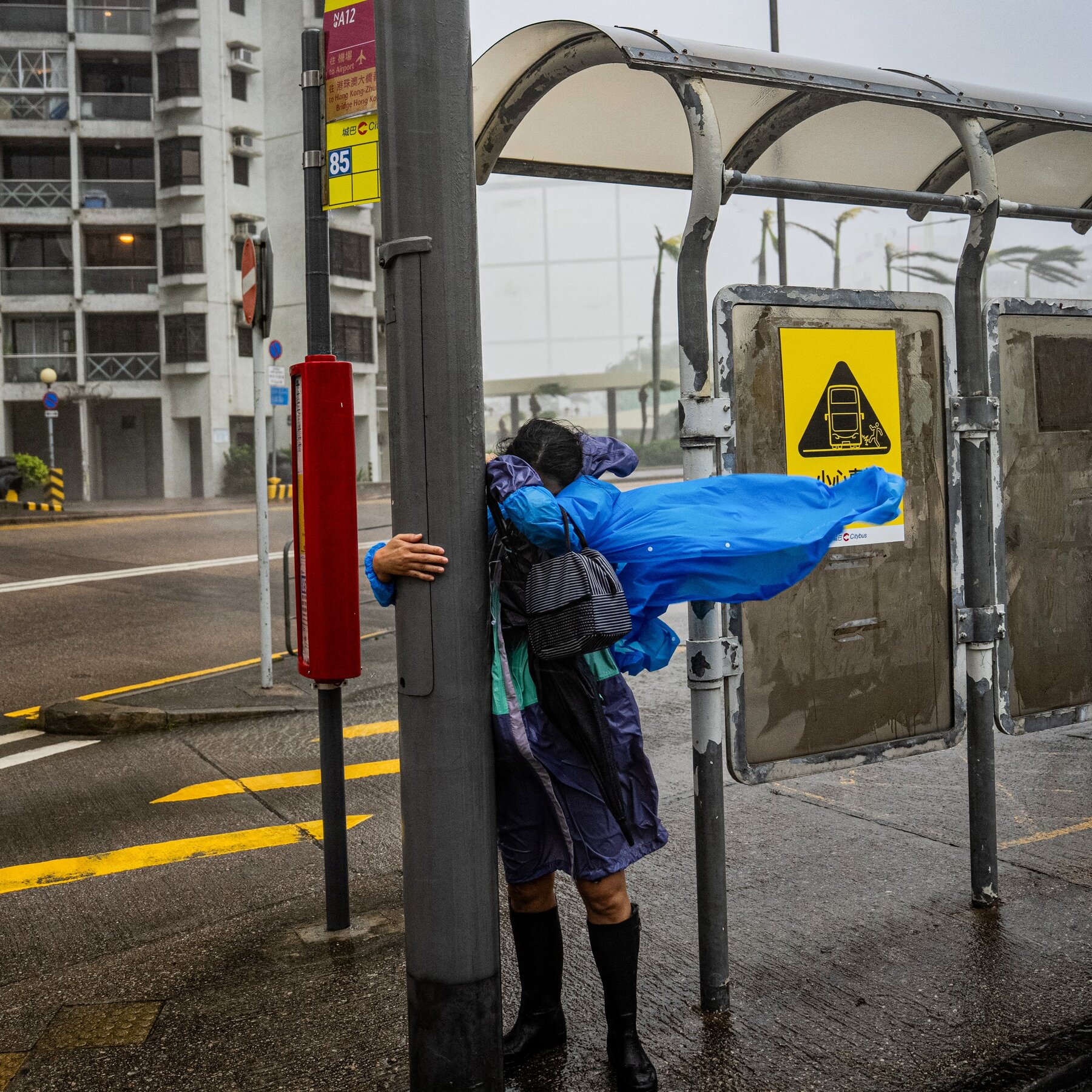 Typhoon Ragasa Kills 15 in Taiwan as Hong Kong Faces Strong Winds
