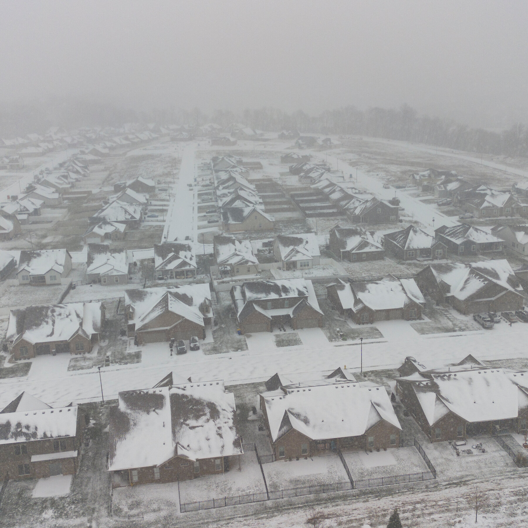 Scenes From the Winter Storm